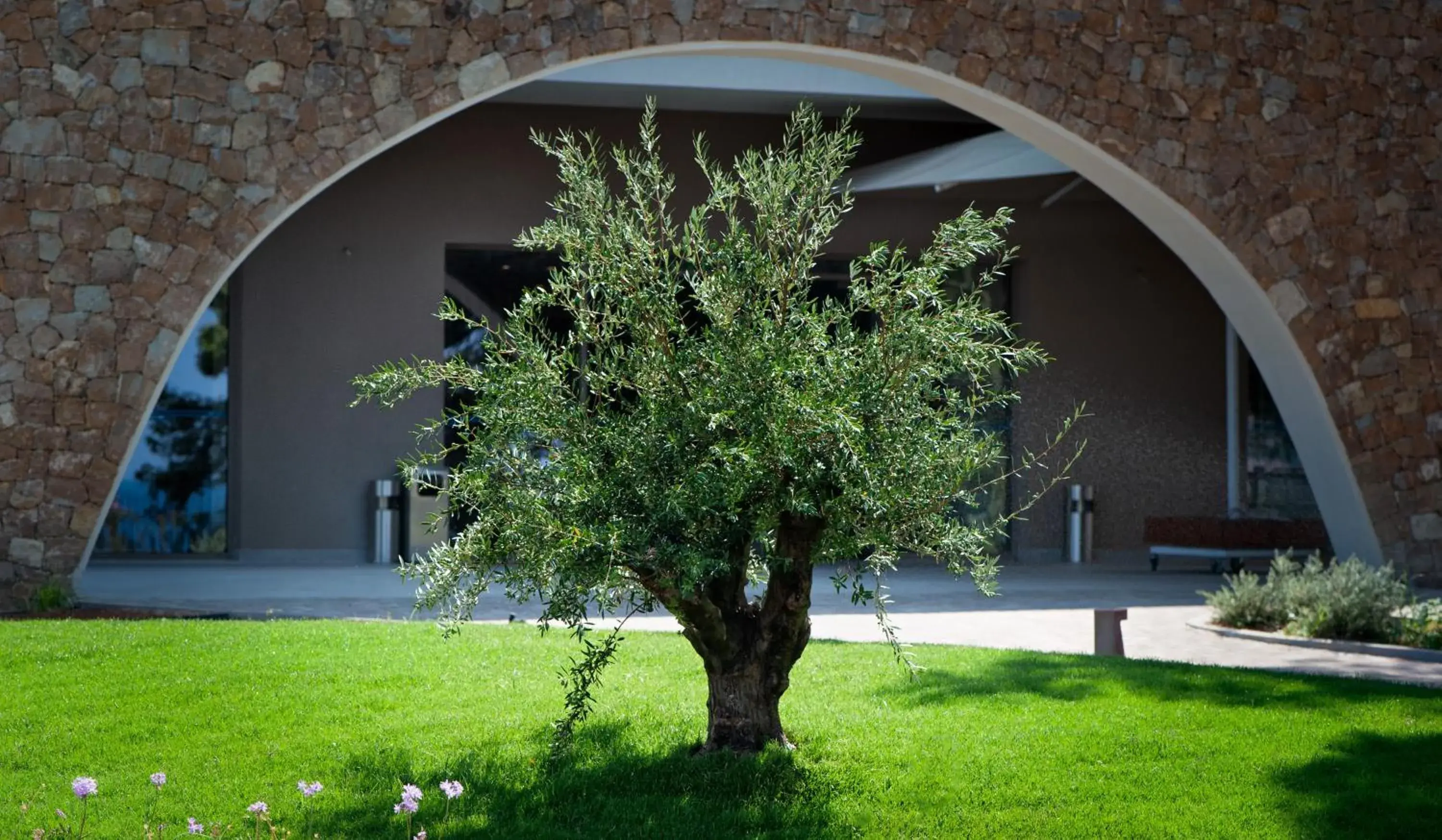 Garden in EverEden Beach Resort Hotel