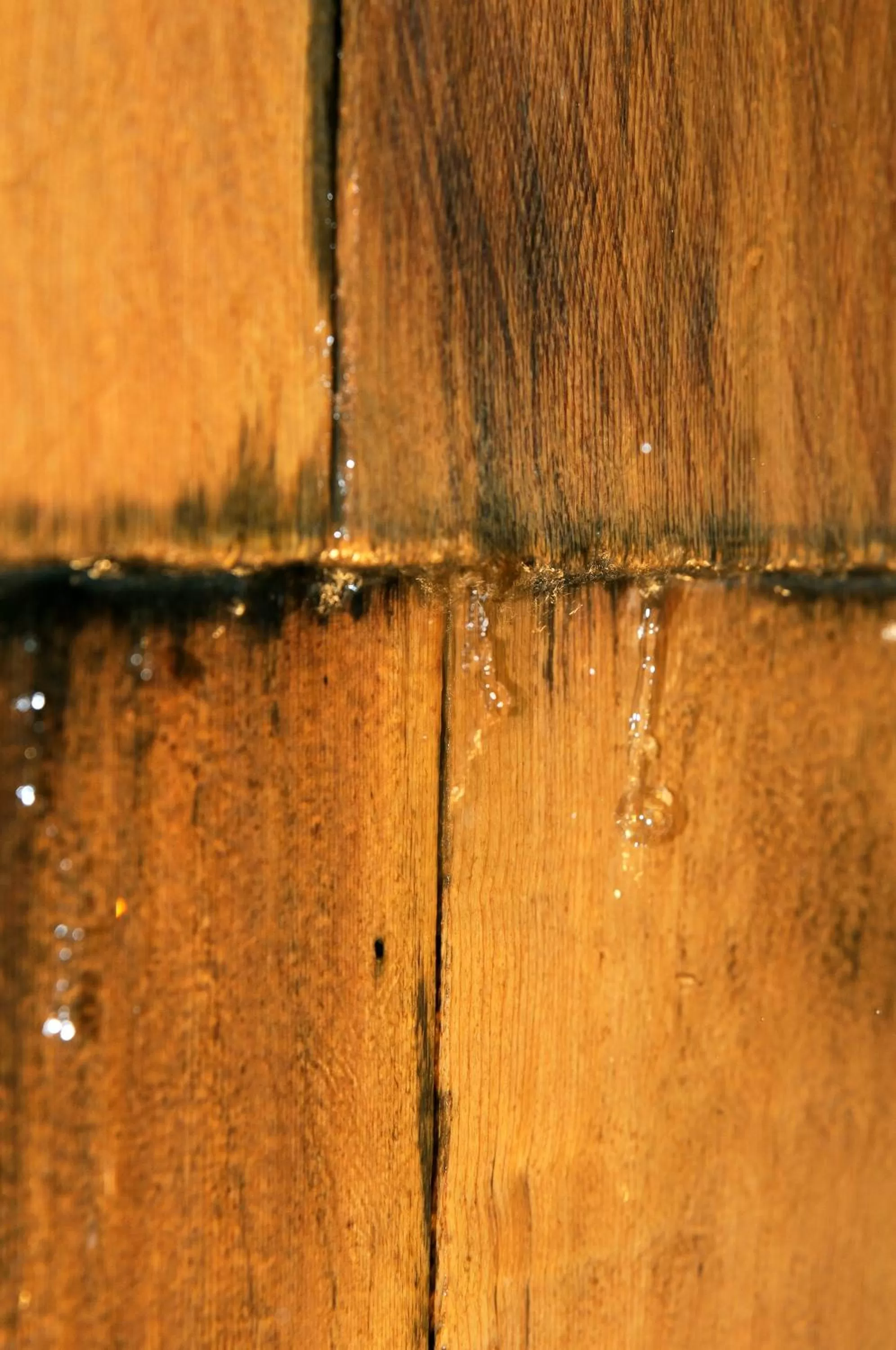 Other in Coco-Mat Hotel Athens