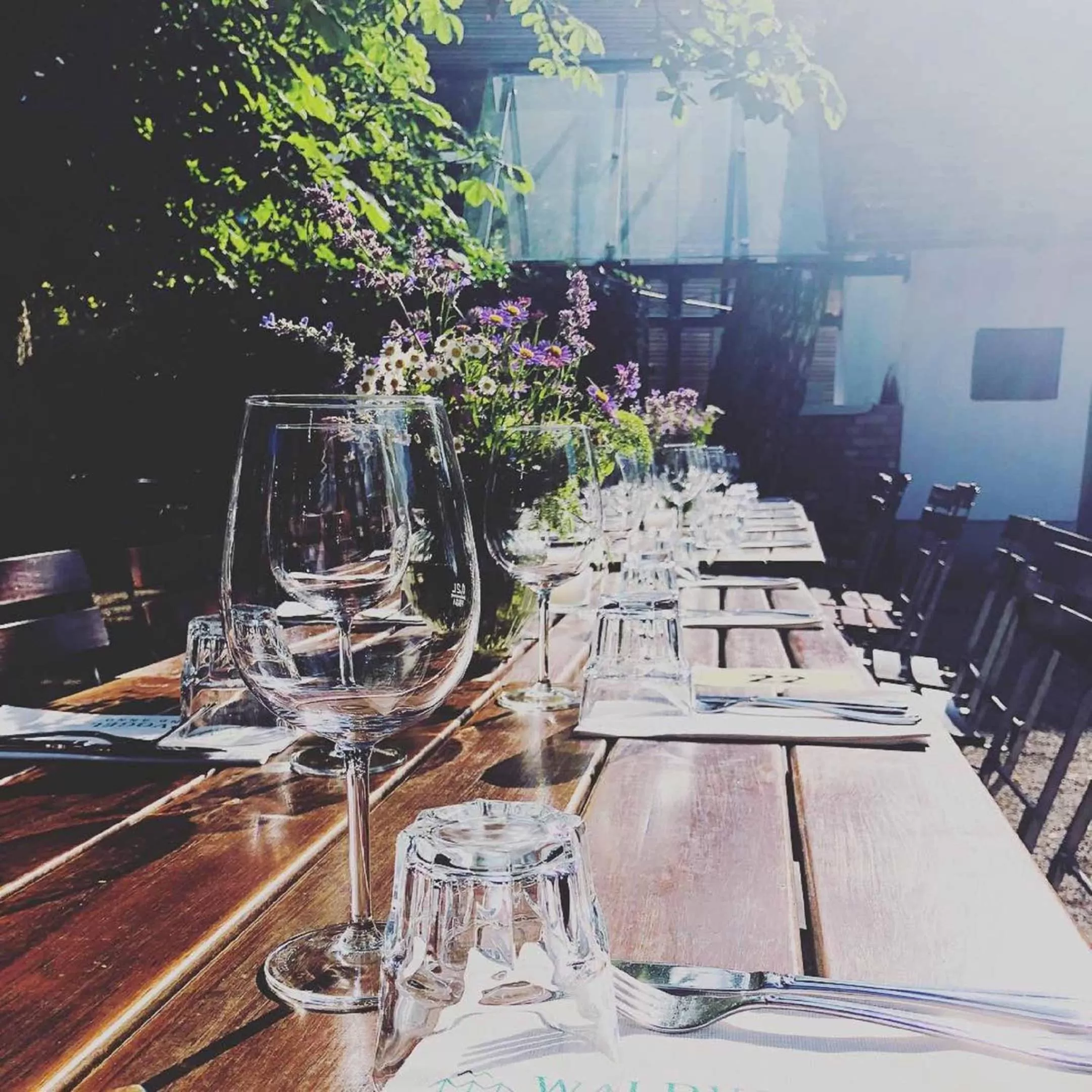 Restaurant/places to eat in Hotel Waldvogel