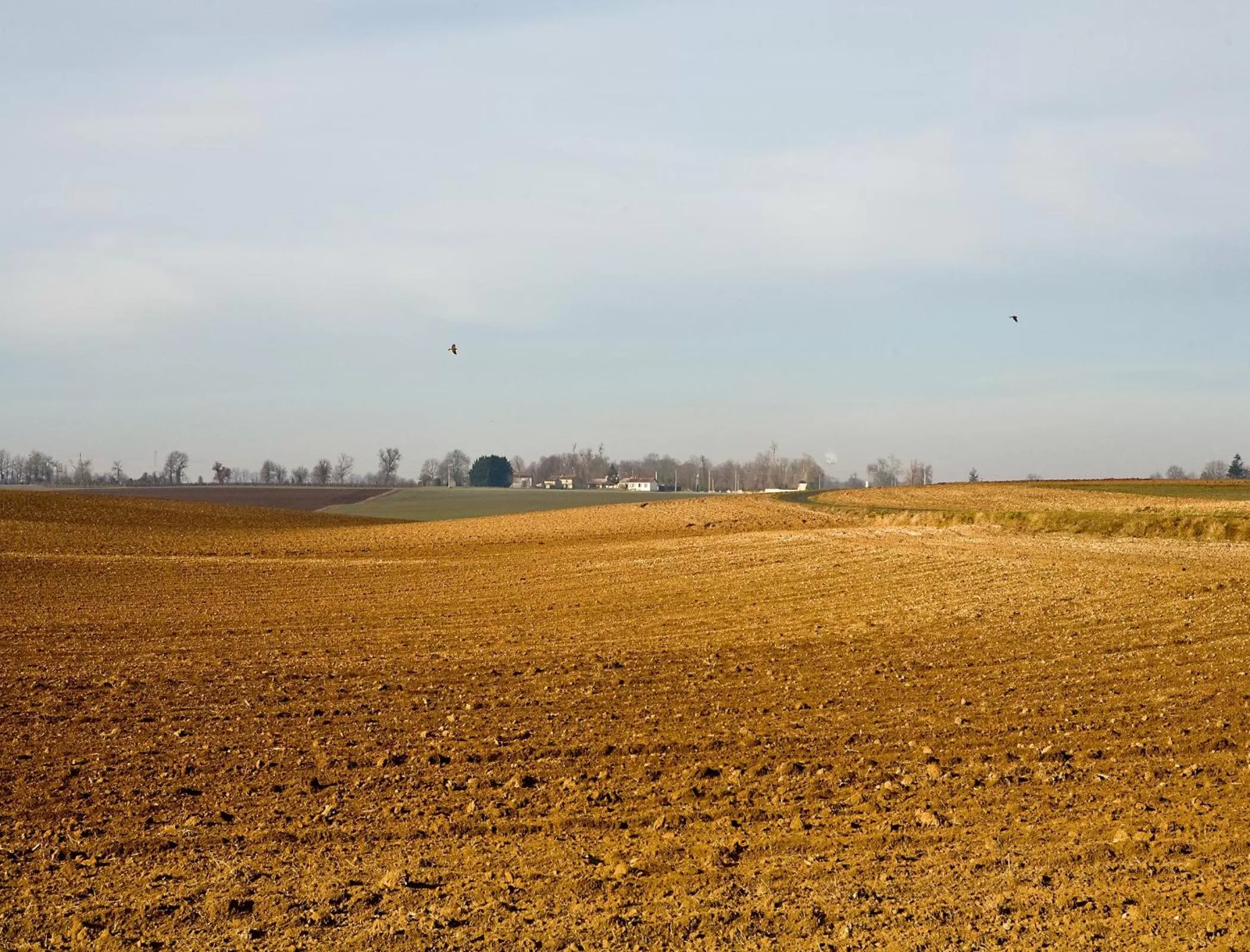 Natural landscape in La Bribaudonnière