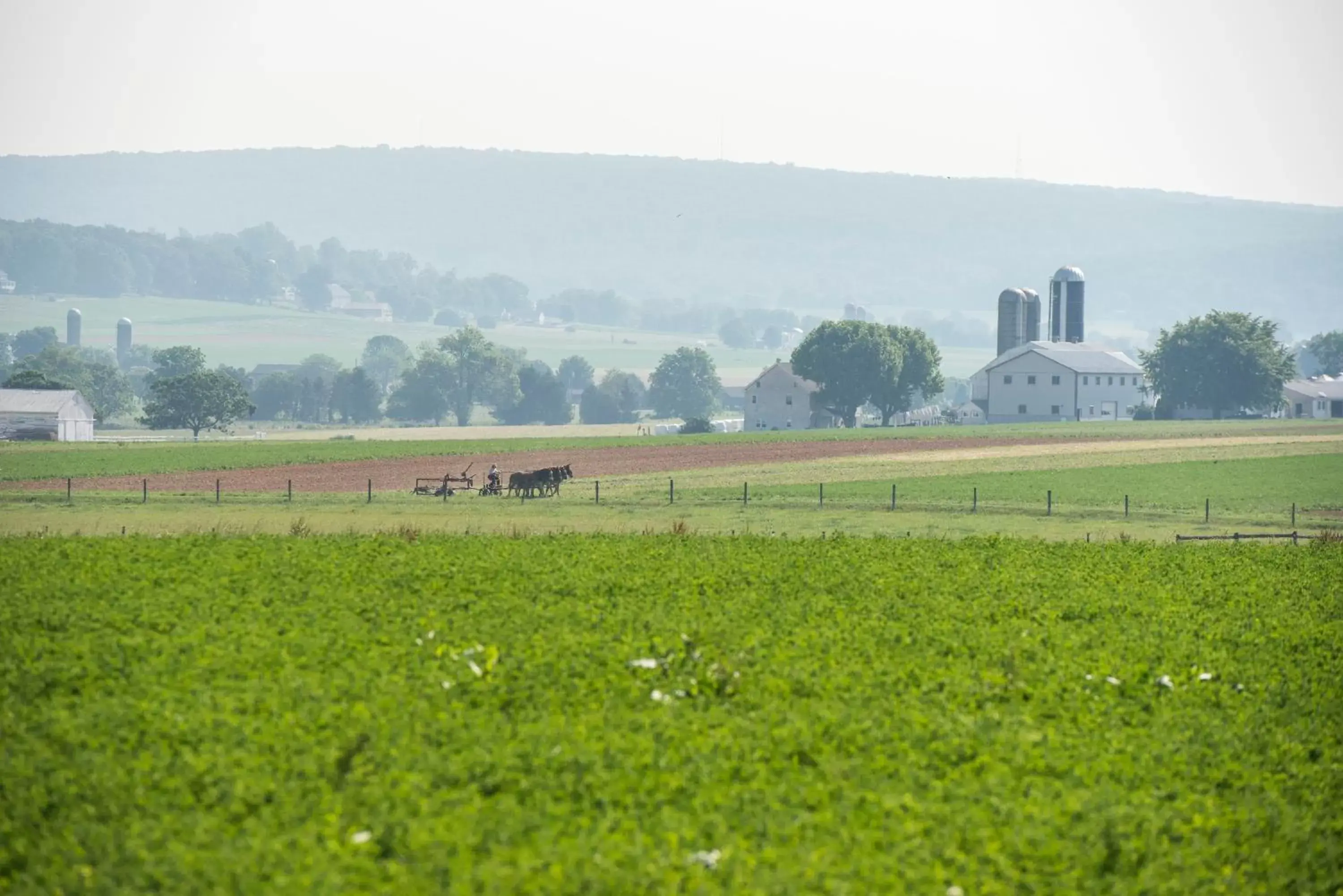 View (from property/room) in Travelers Rest Motel View (from property/room) in Travelers Rest Motel