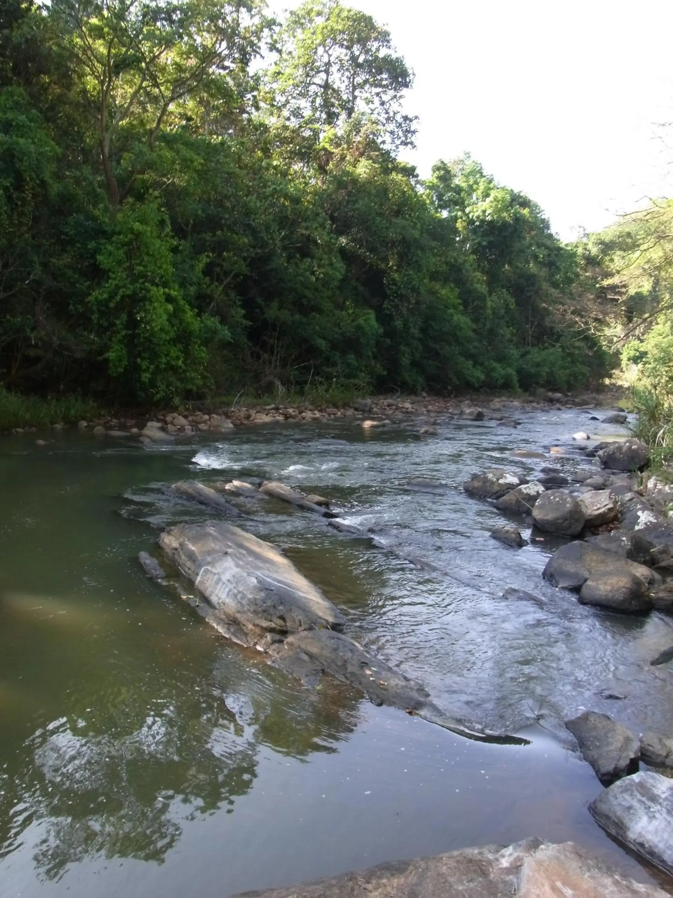 Swimming pool in The Kandy Samadhicentre