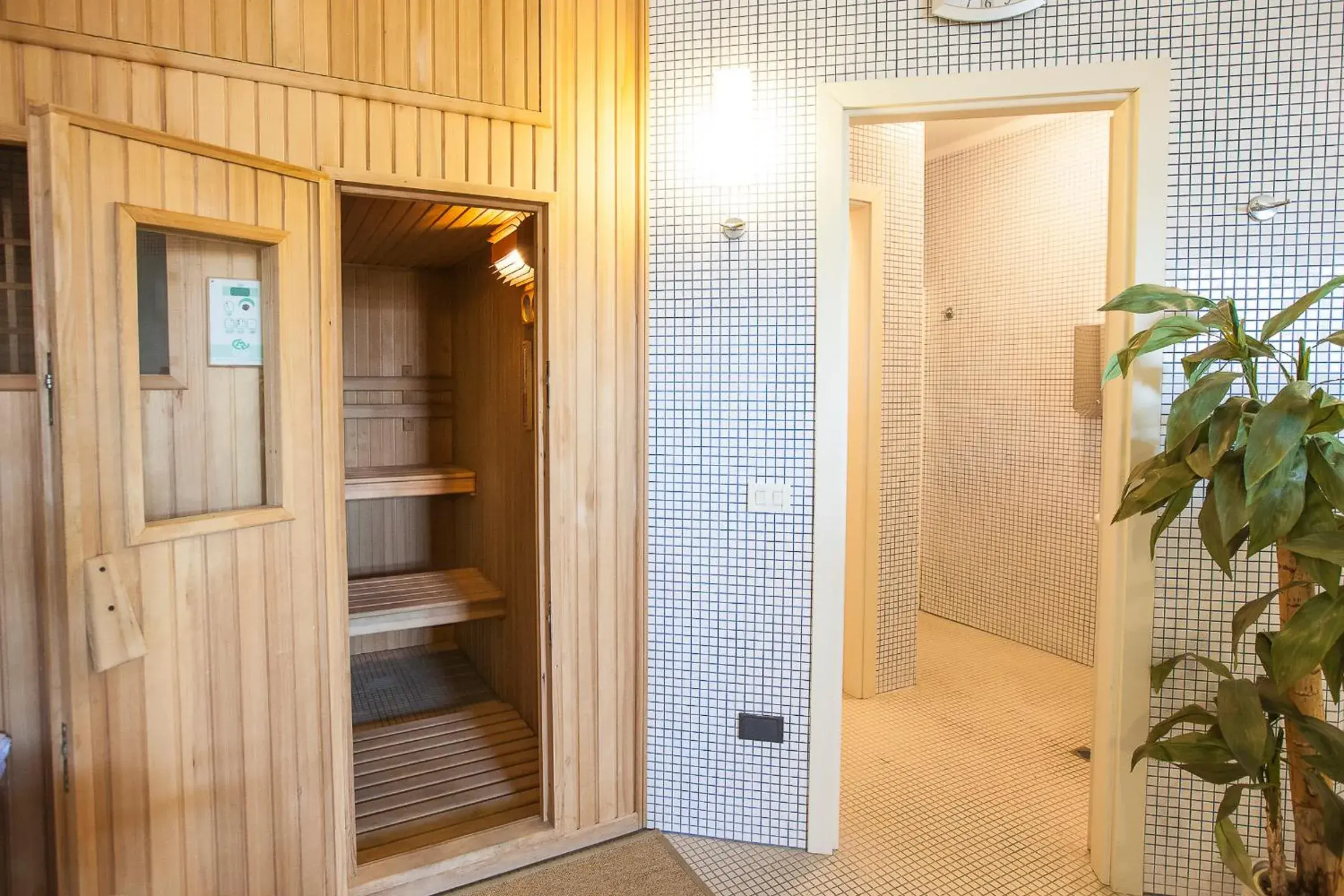 Sauna in Hotel San Francisco Spiaggia