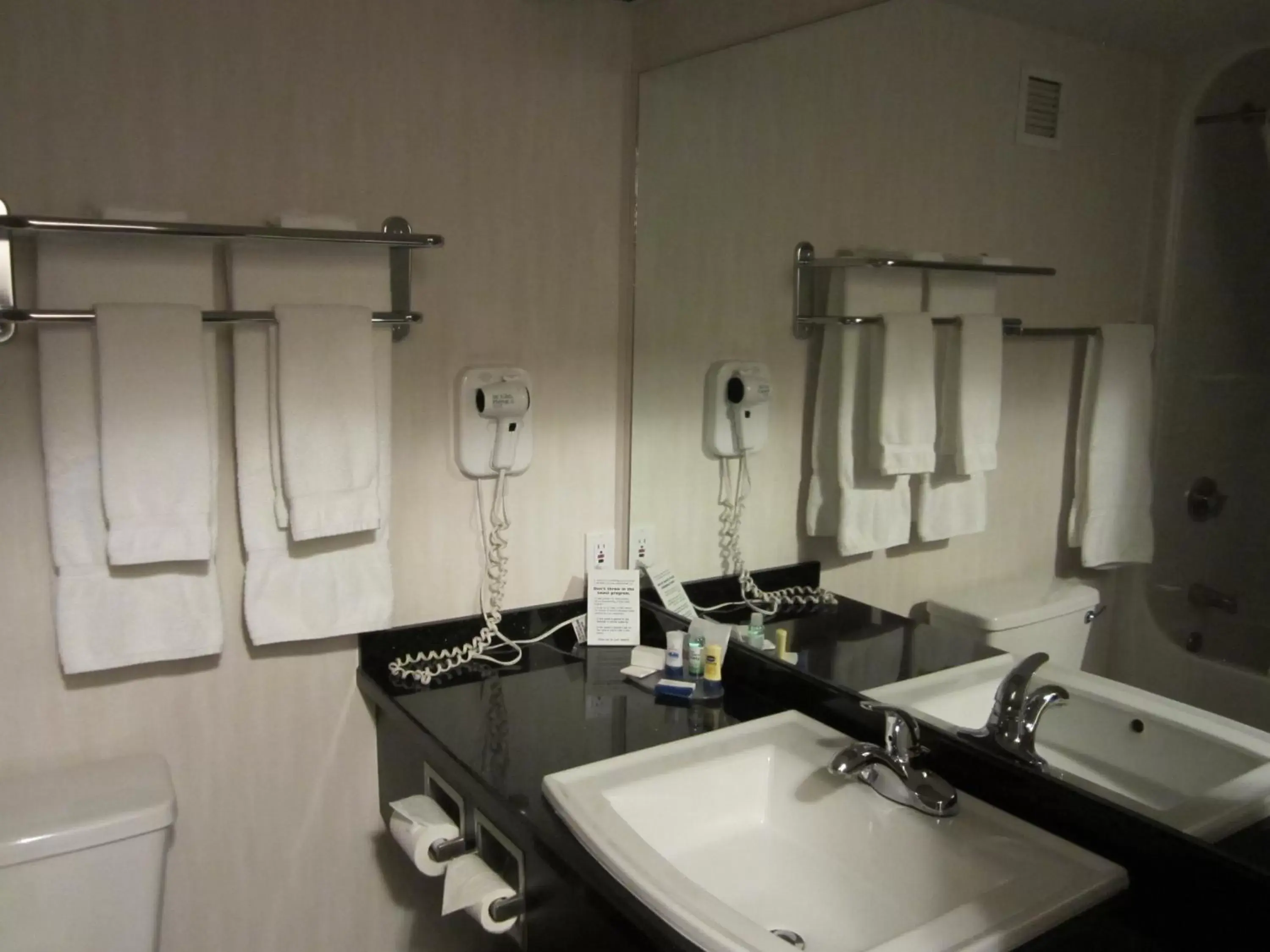 Bathroom in Woodlands Inn & Suites