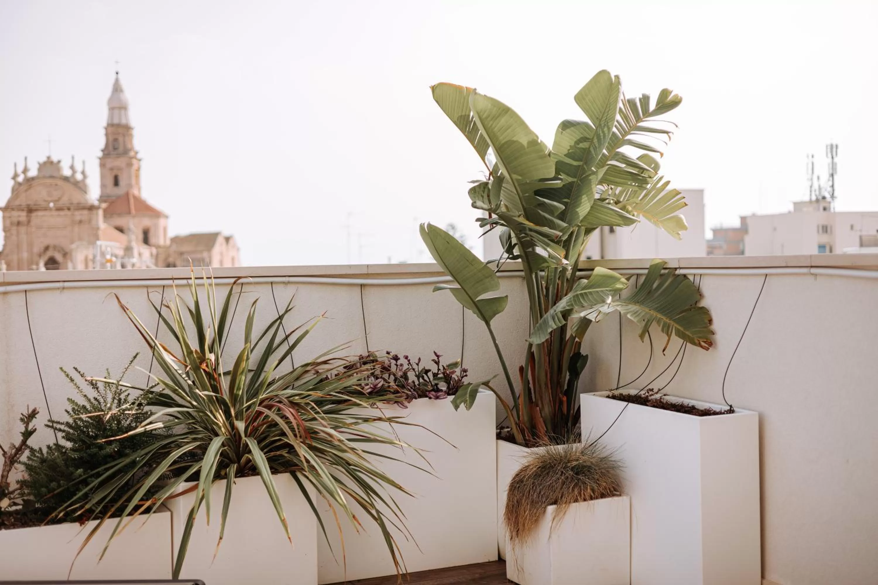 Suite1212 - Rattazzi