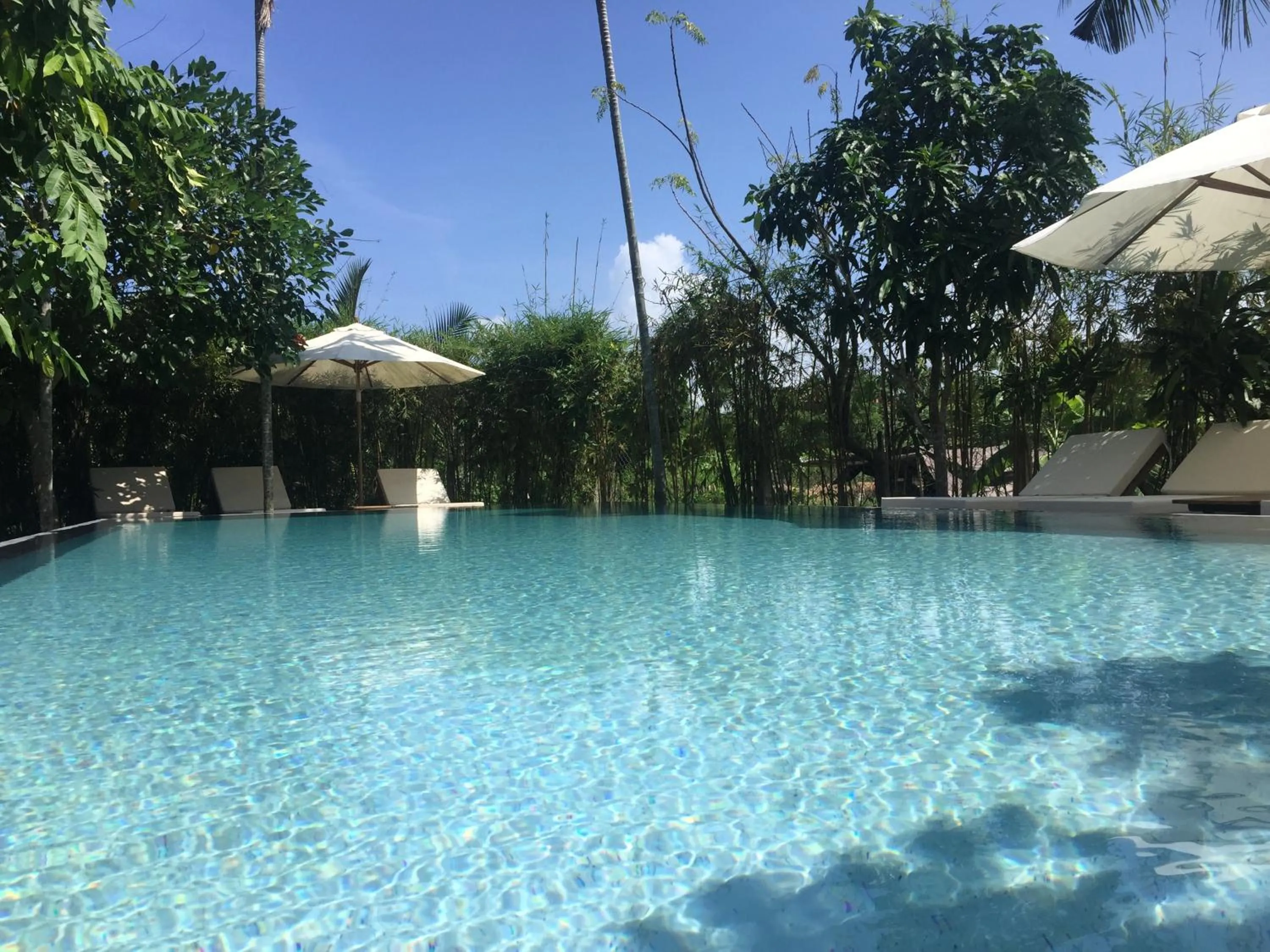 Day in Palm View Villa