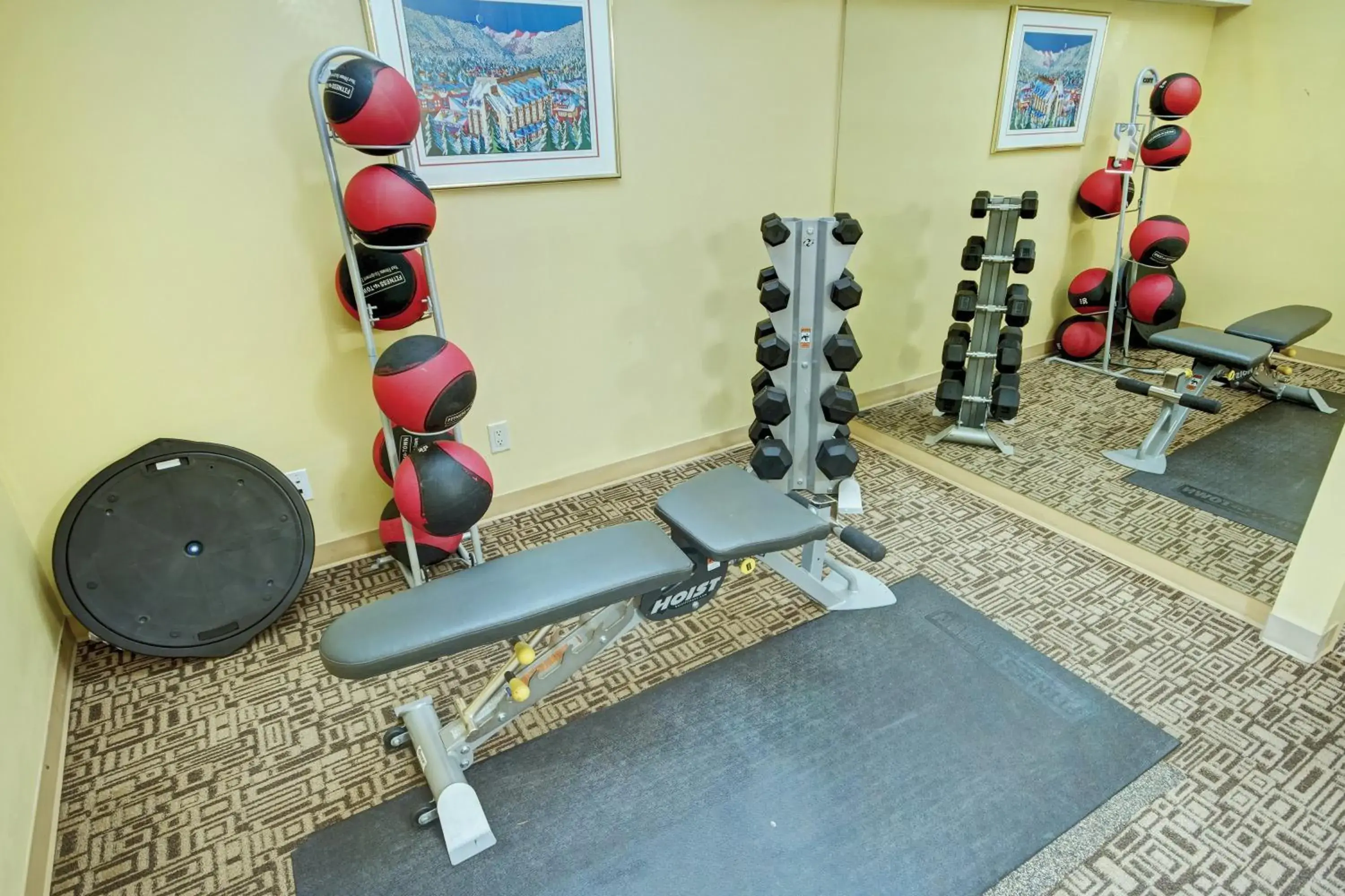 Fitness centre/facilities, Fitness Center/Facilities in Mountainside Lodge