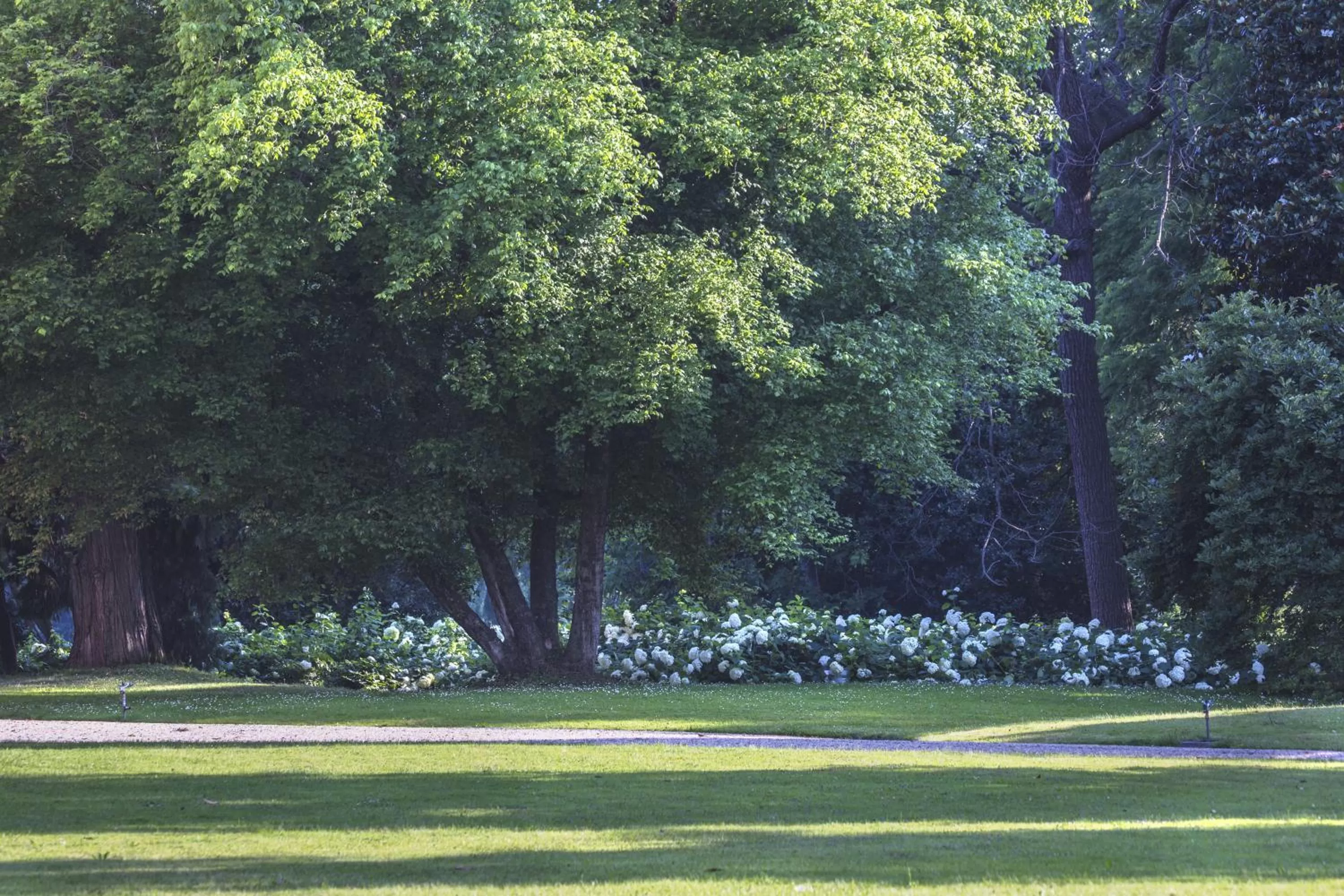 Property building in Agriturismo Il Torrione