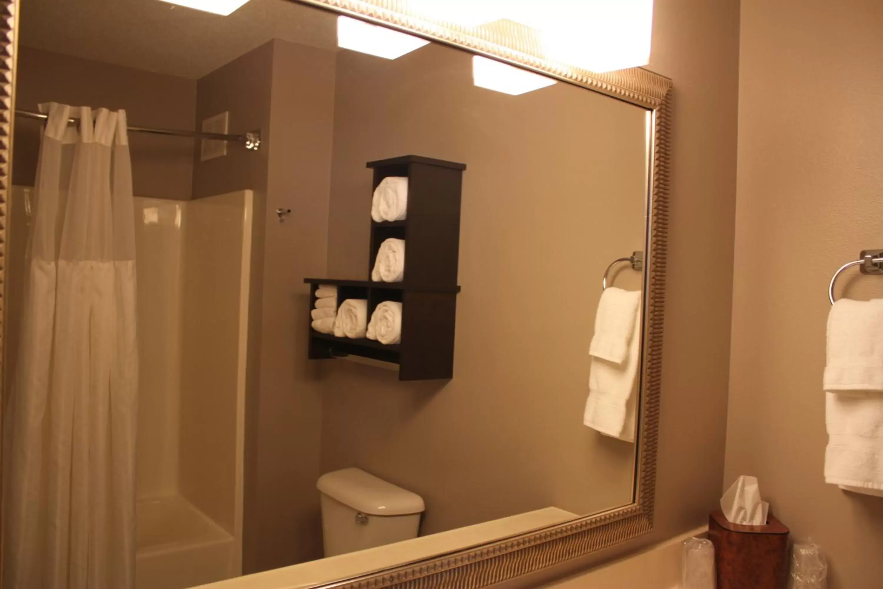 Bathroom in GrandStay Hotel & Suites Ames