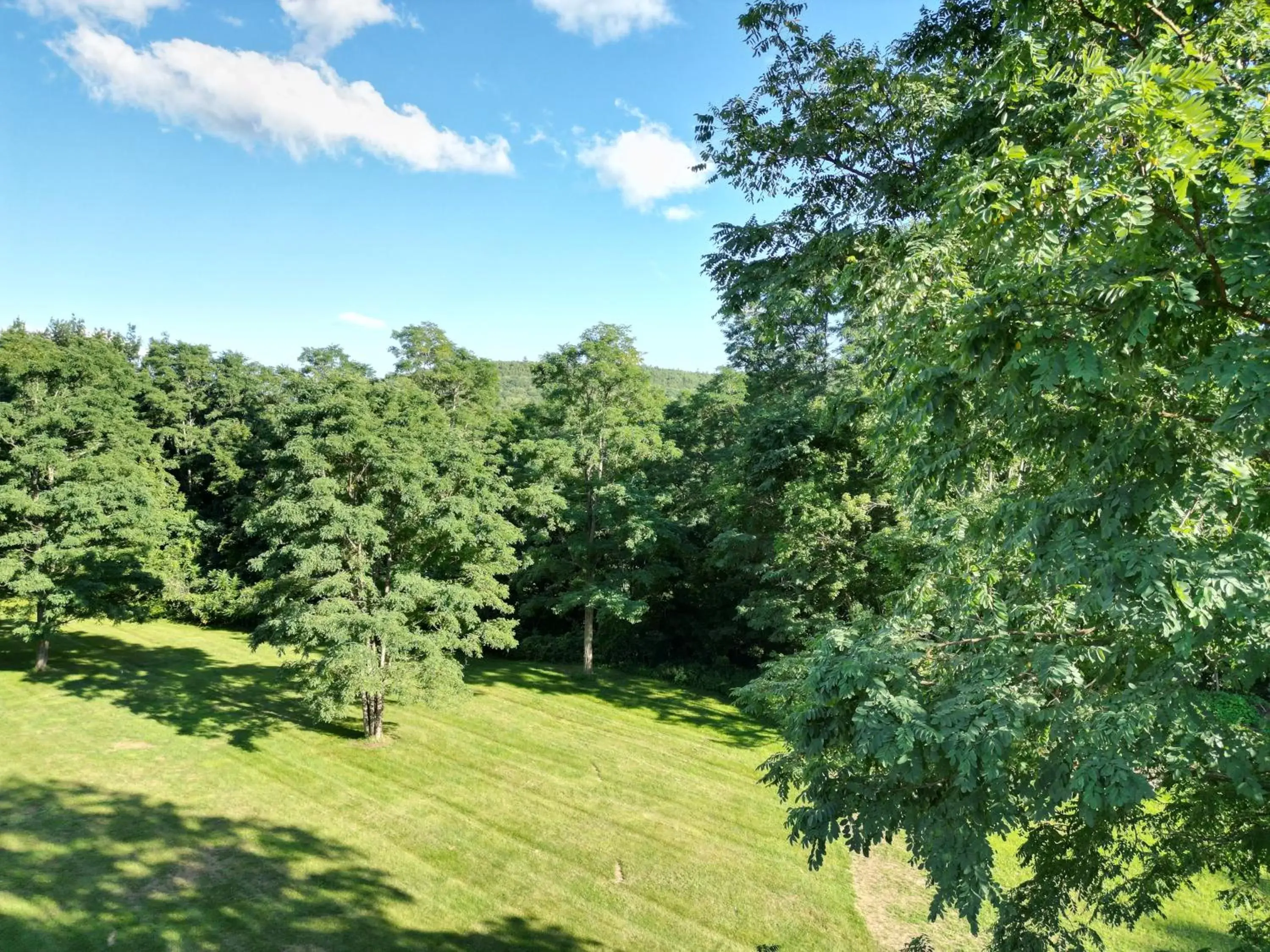 Natural landscape, Garden in The Putney Inn