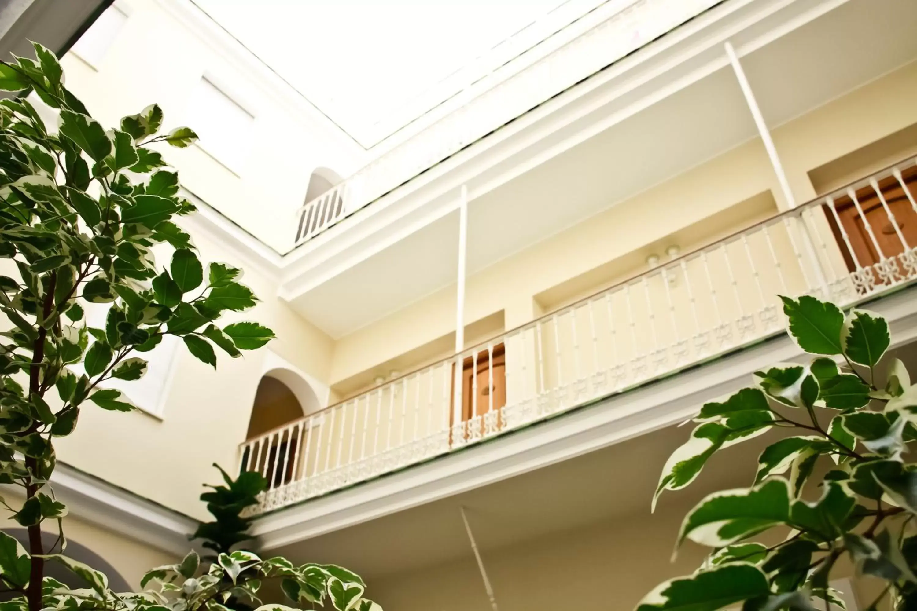 Patio in Hotel La Española