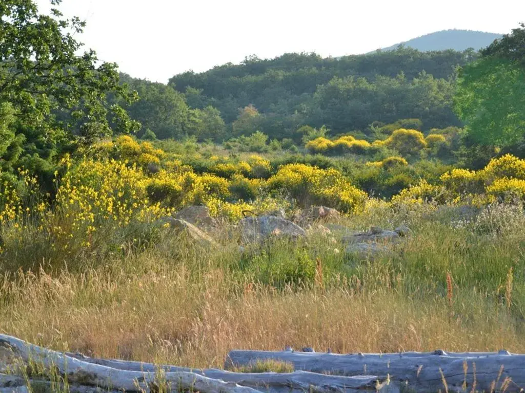 Property building, Natural Landscape in La Devinière