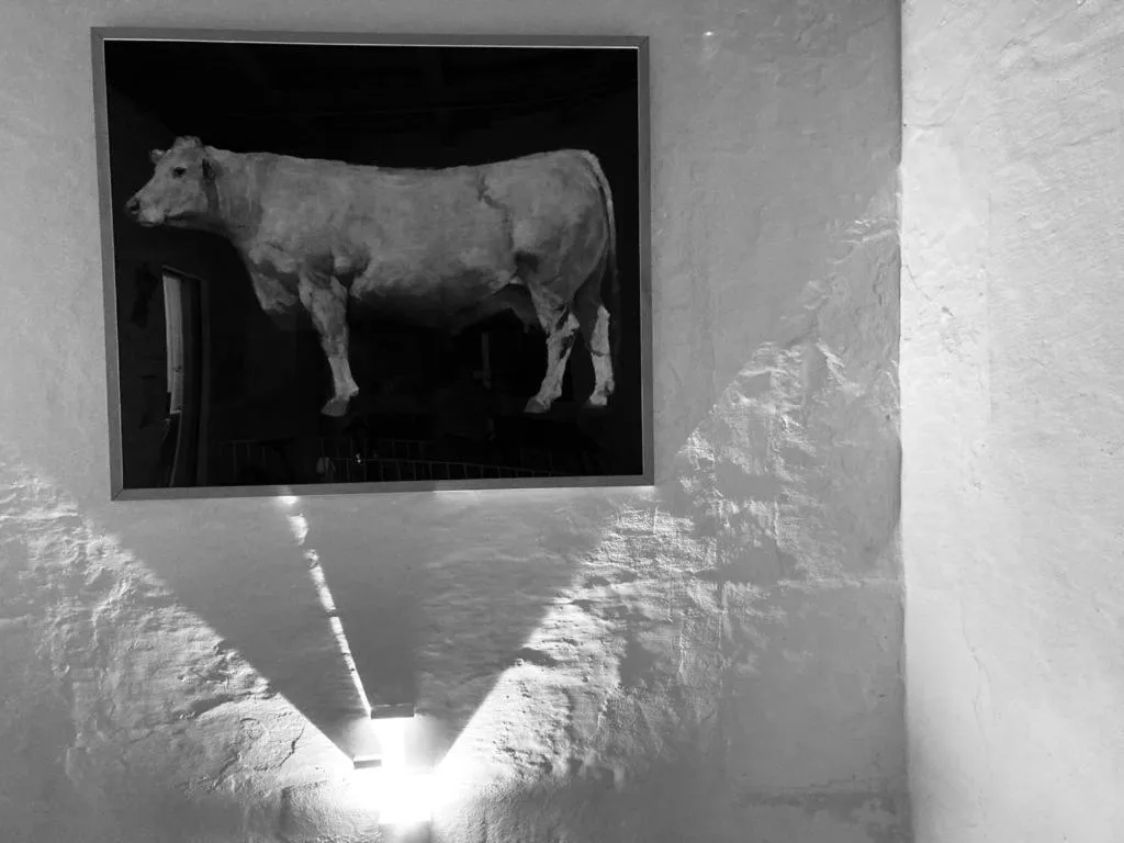 Lounge or bar in Hotel Hevresac Singular & Small