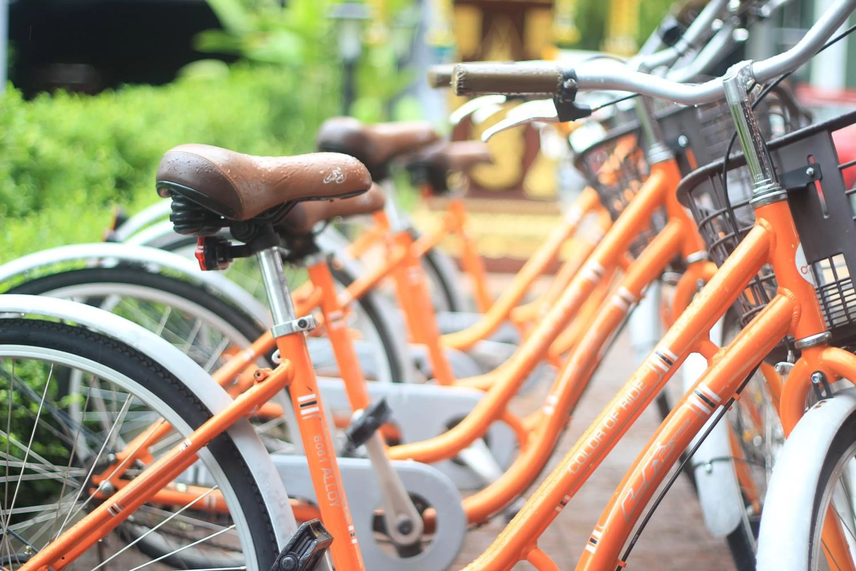 Cycling in Cmor by Recall Hotels SHA Extra Plus