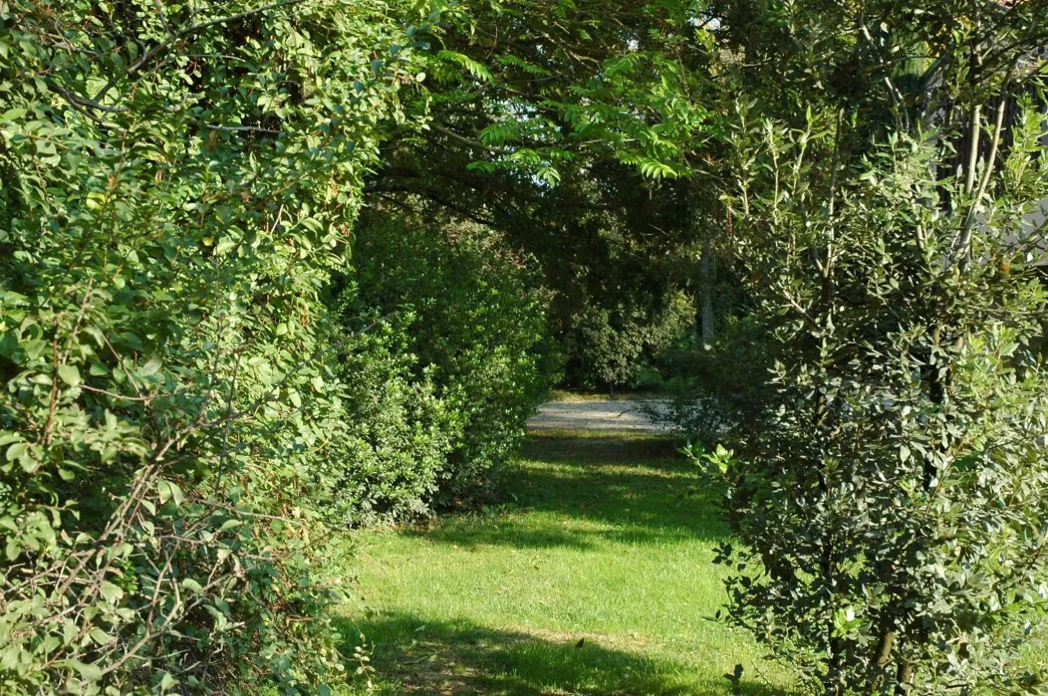 Garden in B&B Villa dei Calchi - Suite Room di Charme