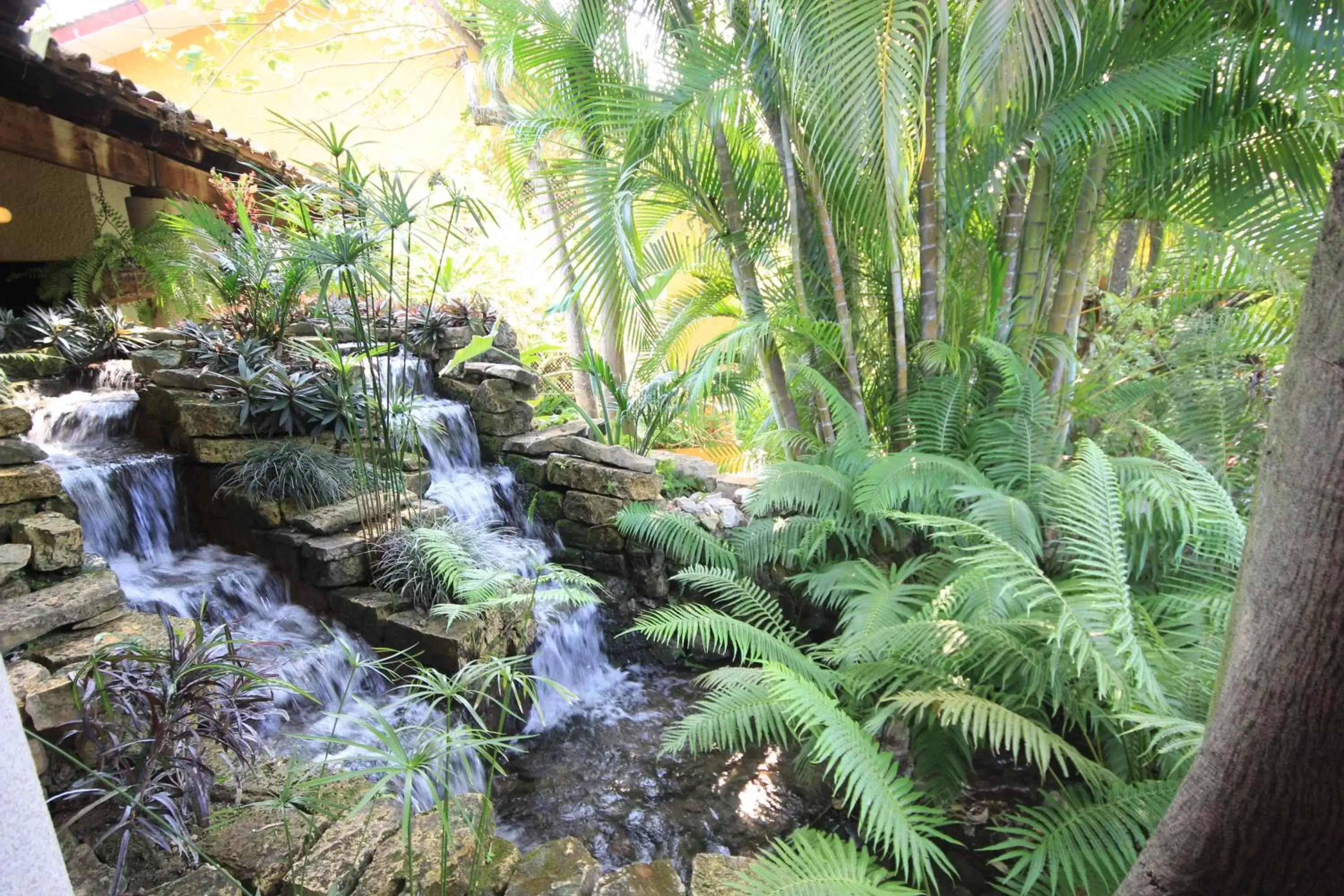 Garden in Hotel Ciudad Real Palenque