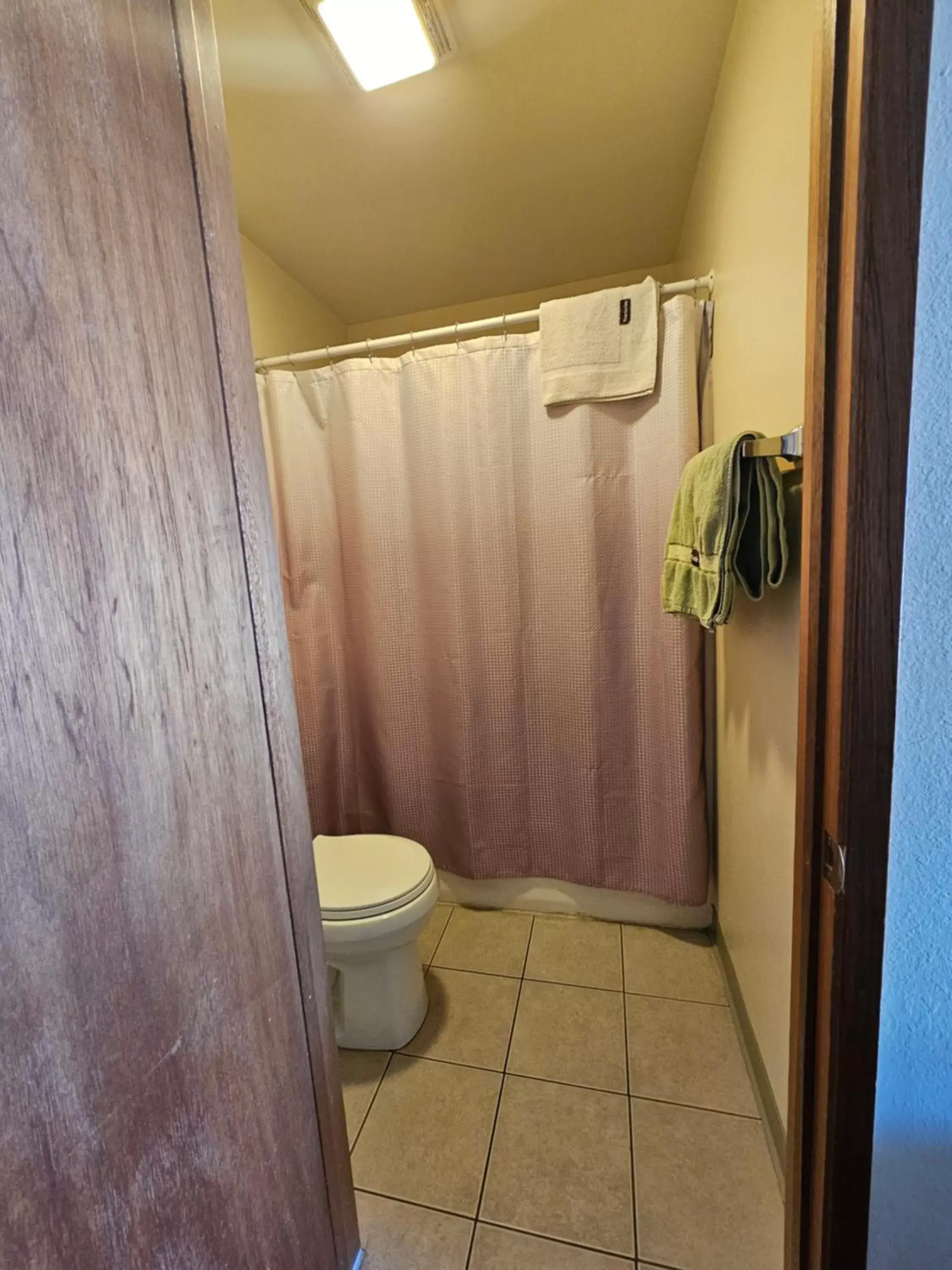 Shower, Bathroom in Cle Elum Travelers Inn