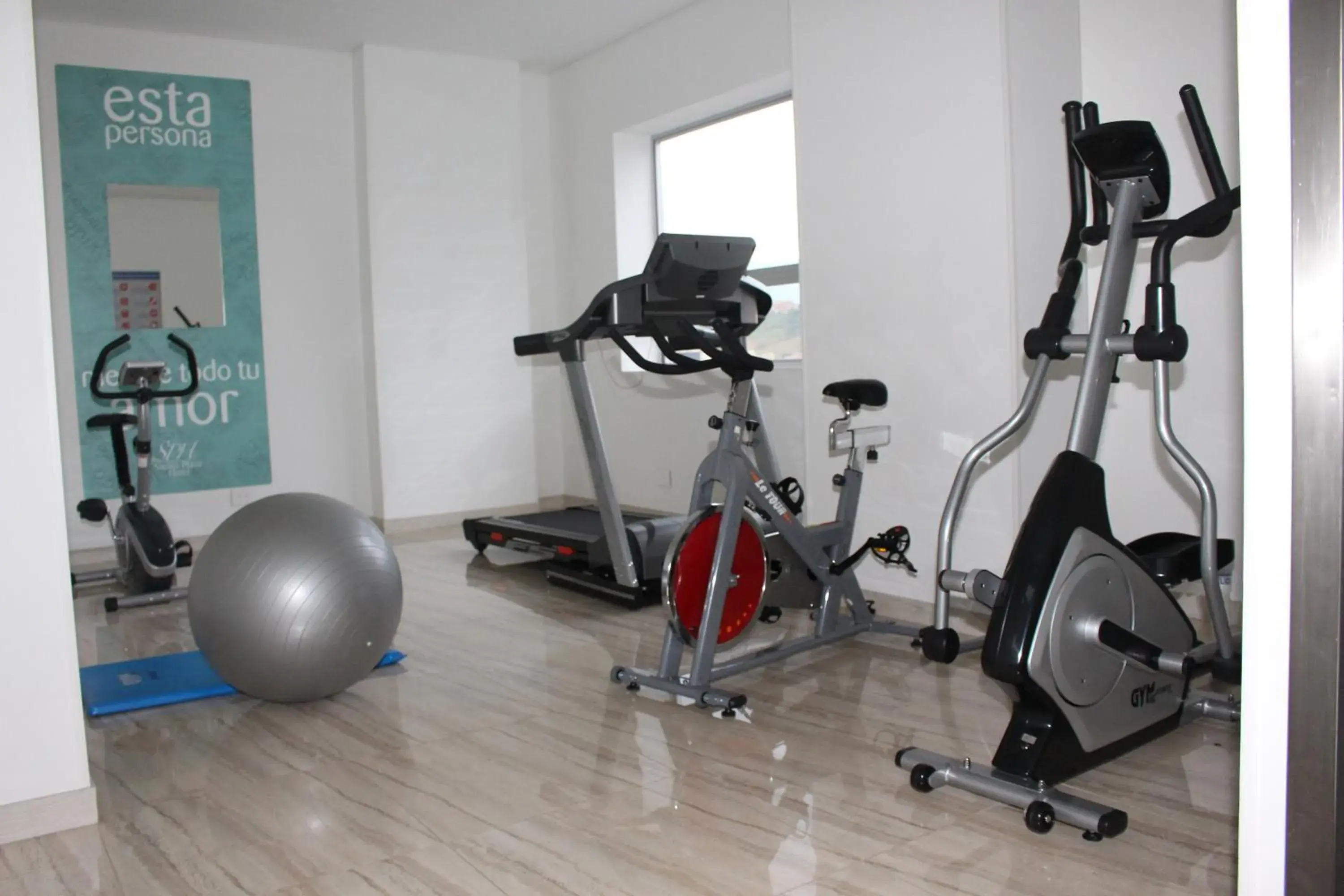 Fitness centre/facilities, Fitness Center/Facilities in Sixtina Plaza Hotel