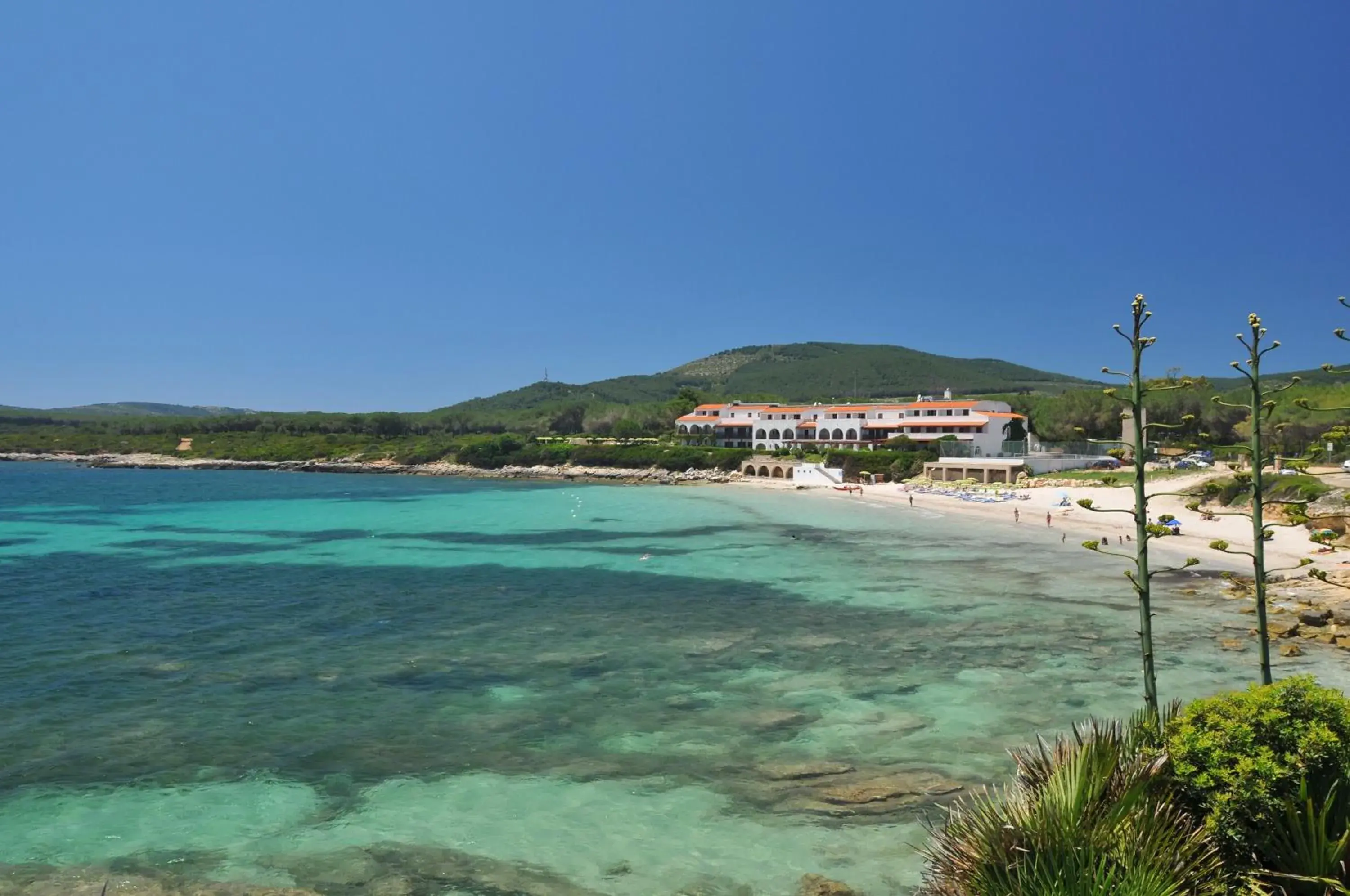 Sea view, Beach in Hotel Punta Negra