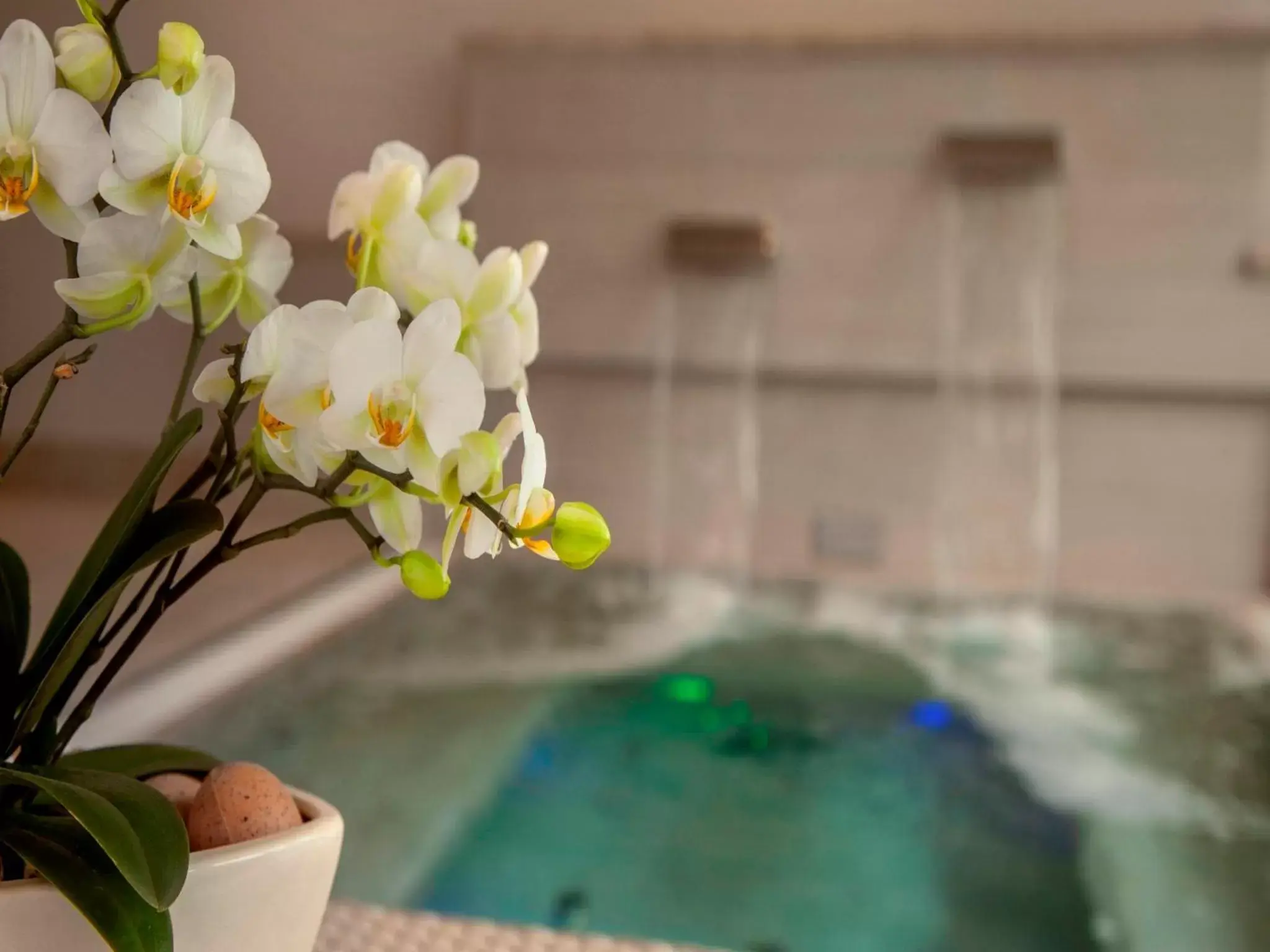 Hot Tub in Delta Resort Apartments
