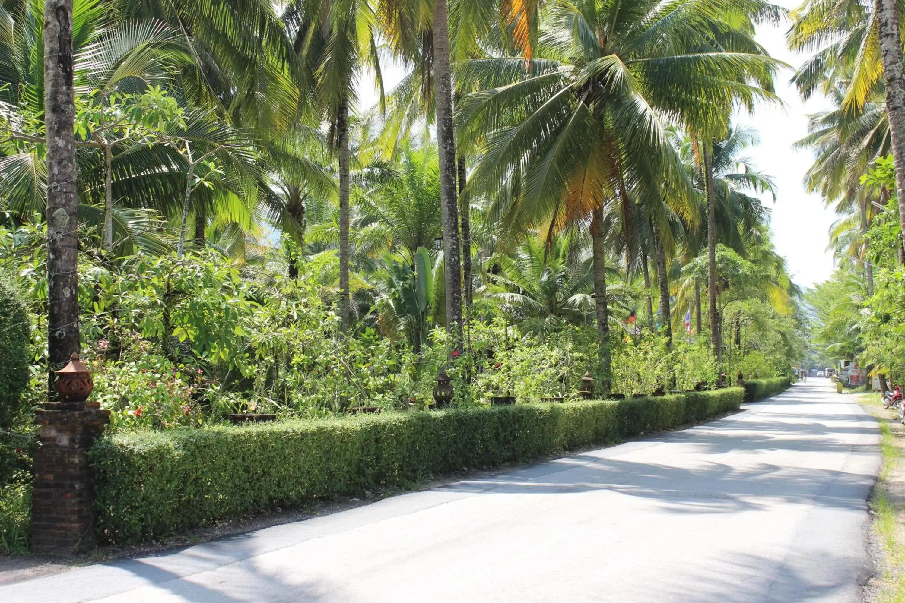 Natural landscape in Sudala Beach Resort