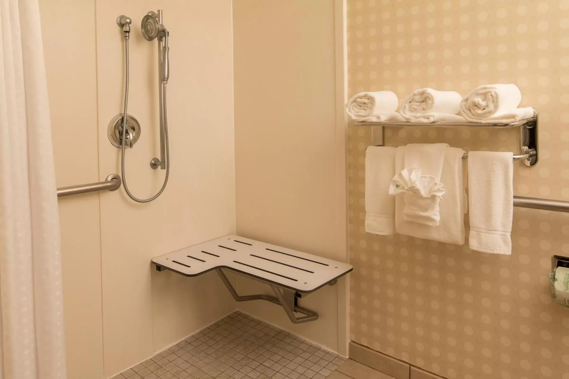 Bathroom in Holiday Inn Express Hotel & Suites Greensboro - Airport Area, an IHG Hotel