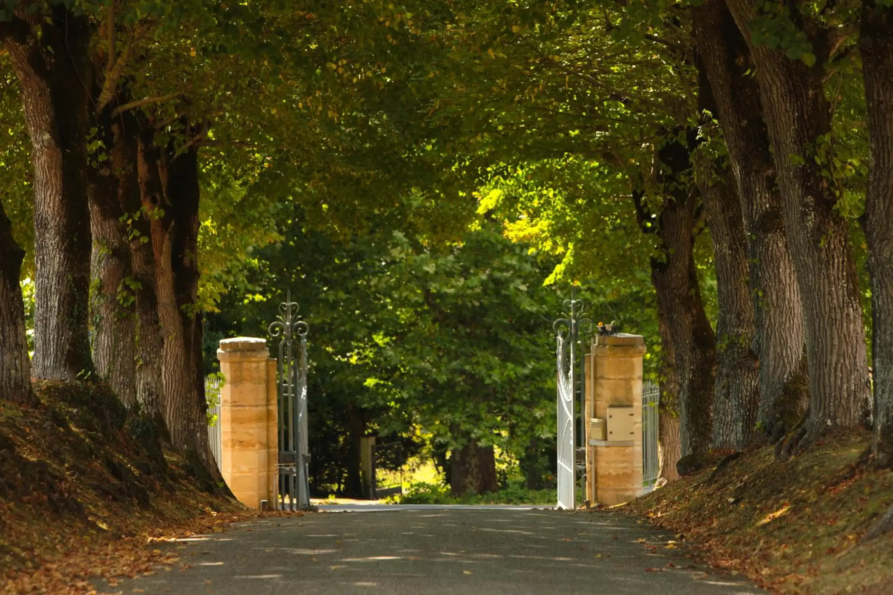 Area and facilities in Les Secrets Château Pey La Tour - Groupe LOGIS HOTELS