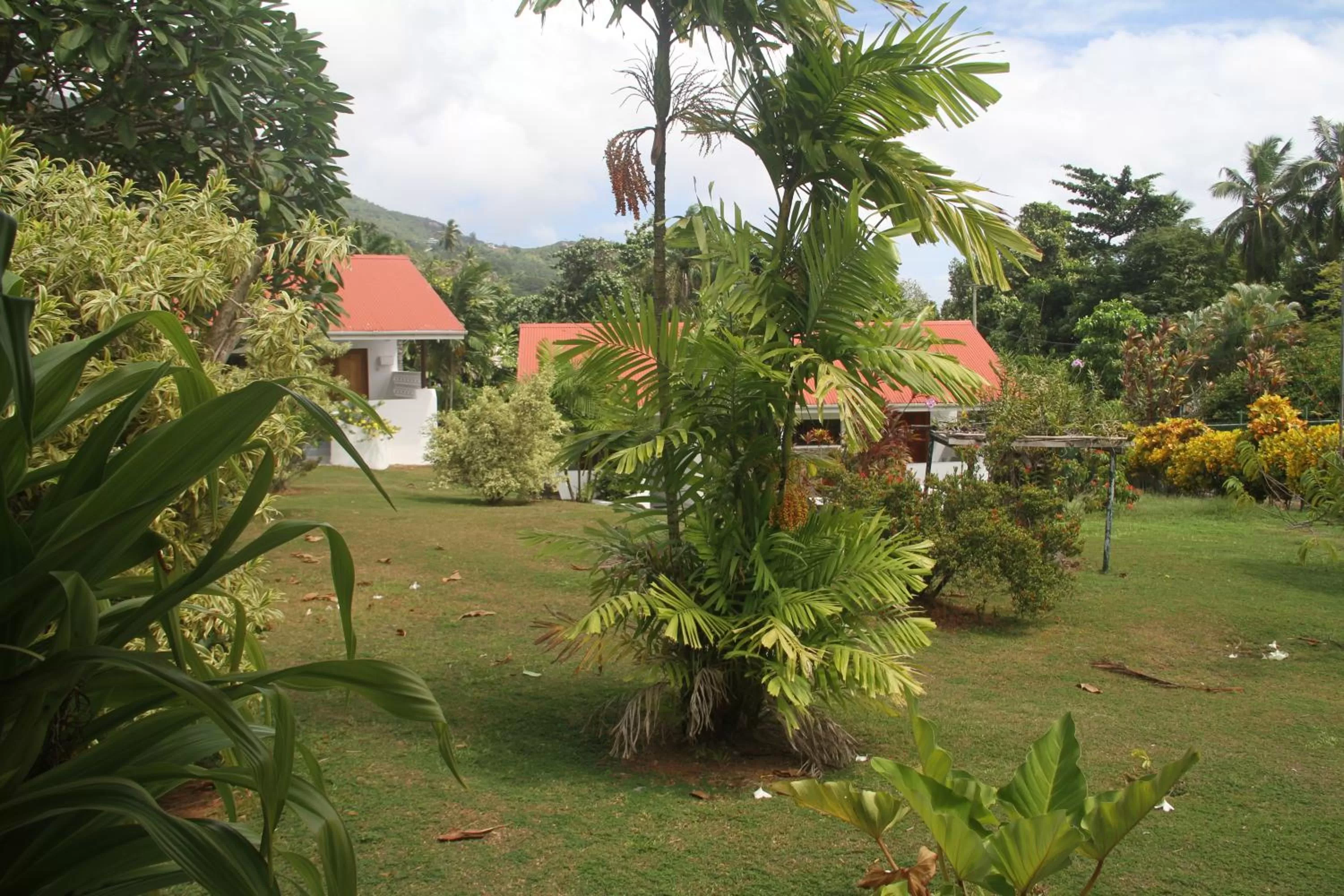 Garden view in Daniella's Bungalows