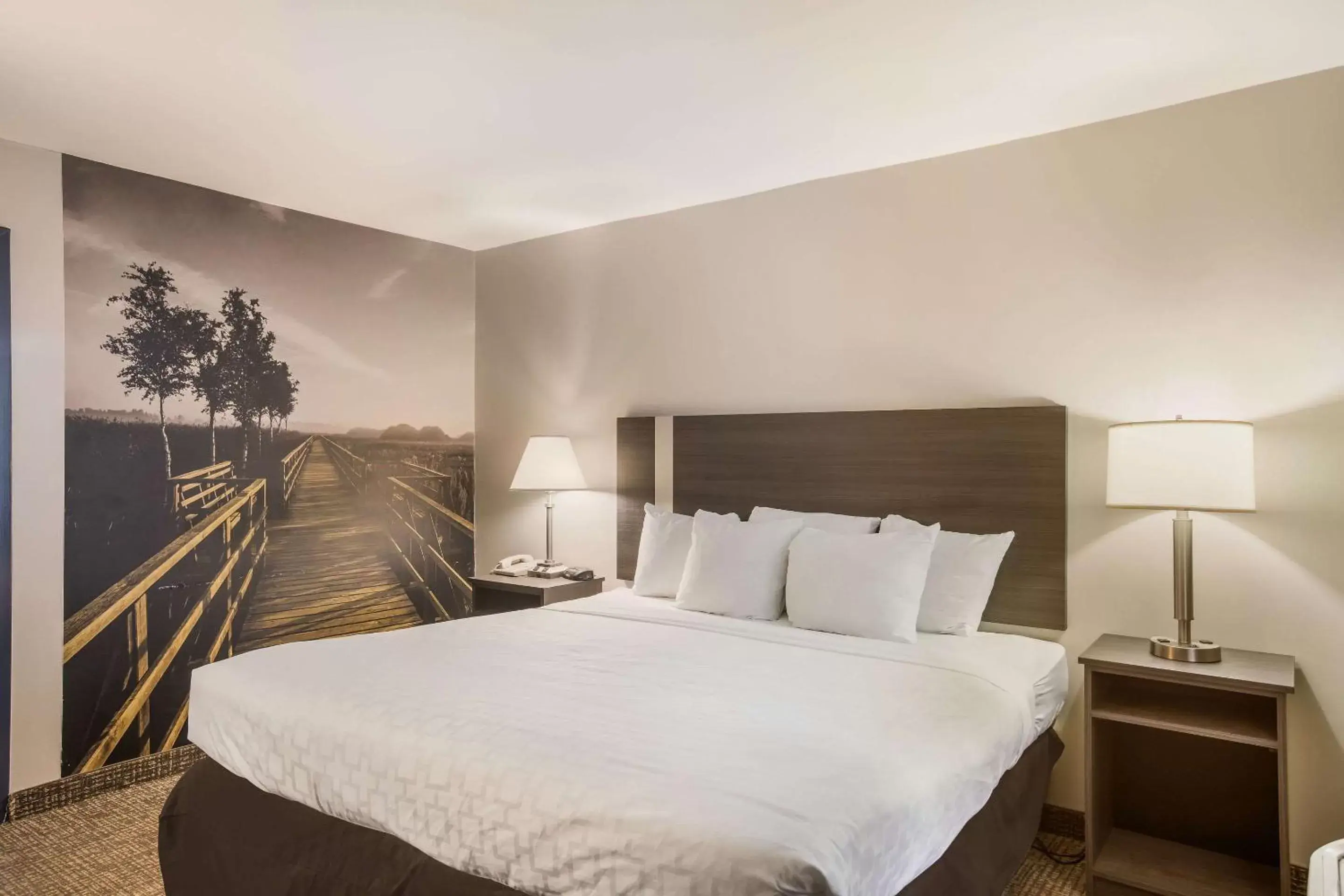 Photo of the whole room, Bed in Clarion Pointe Forsyth I-75 Photo of the whole room, Bed in Clarion Pointe Forsyth I-75