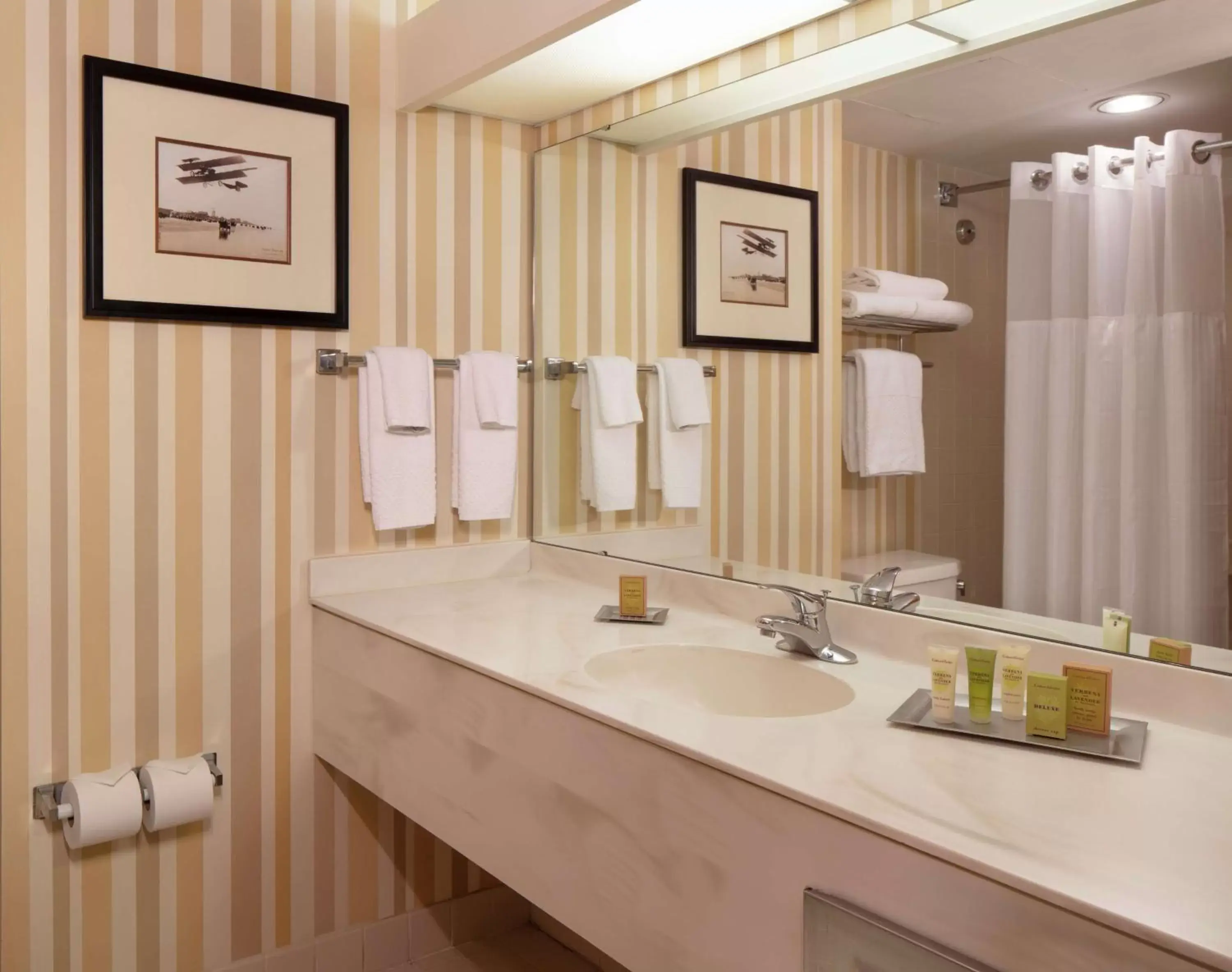 Bathroom in Hilton Daytona Beach Resort