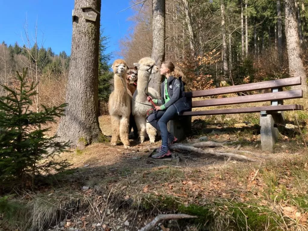 Pets in Hotel Waldmühle