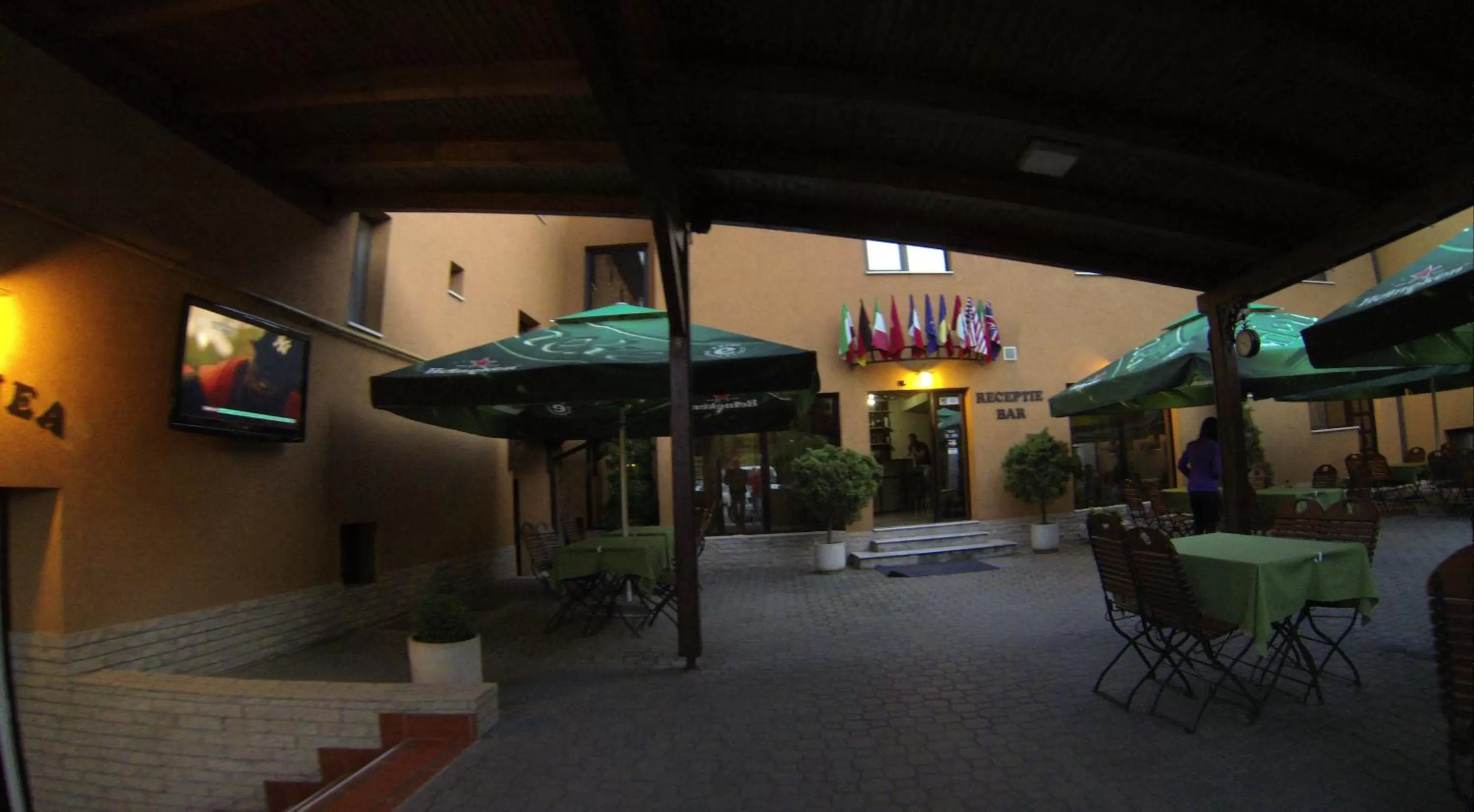 Balcony/Terrace in Hotel Iris