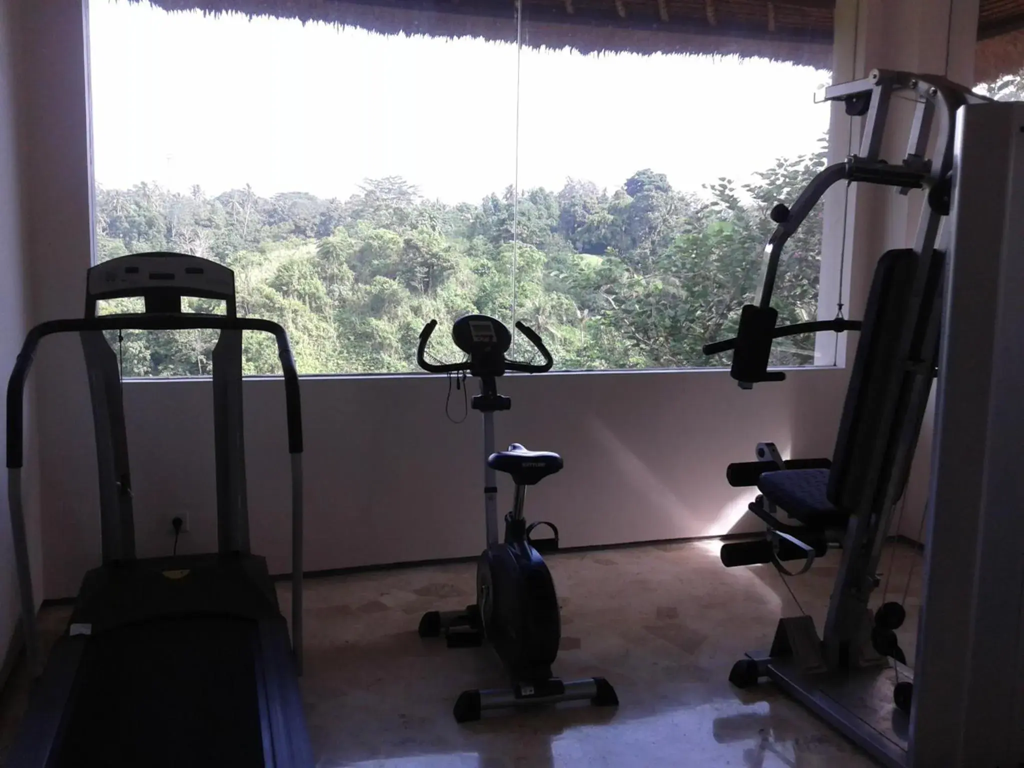 Fitness centre/facilities, Fitness Center/Facilities in Anahata Villas and Spa Resort
