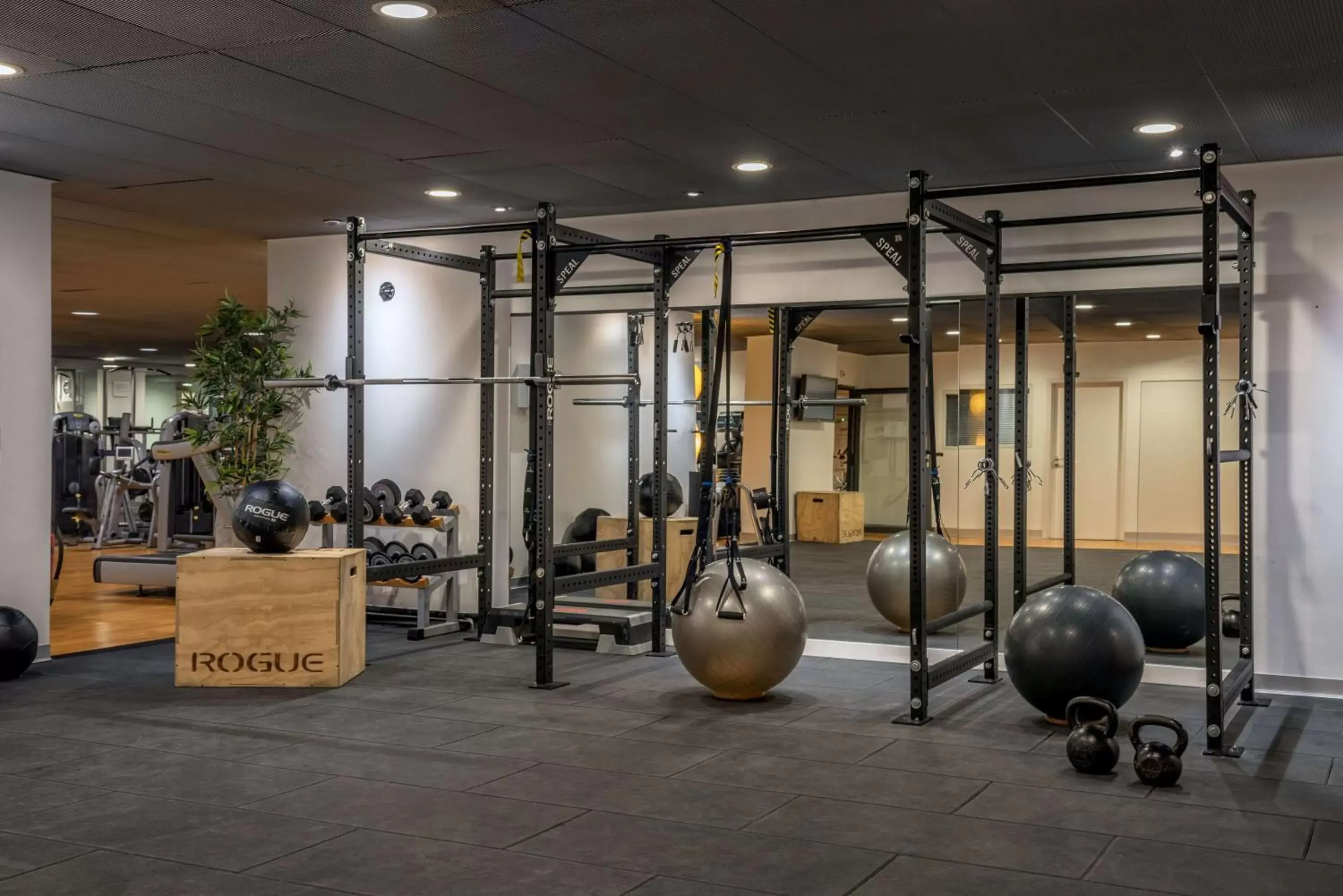 Fitness centre/facilities in Hilton Geneva Hotel and Conference Centre Fitness centre/facilities in Hilton Geneva Hotel and Conference Centre