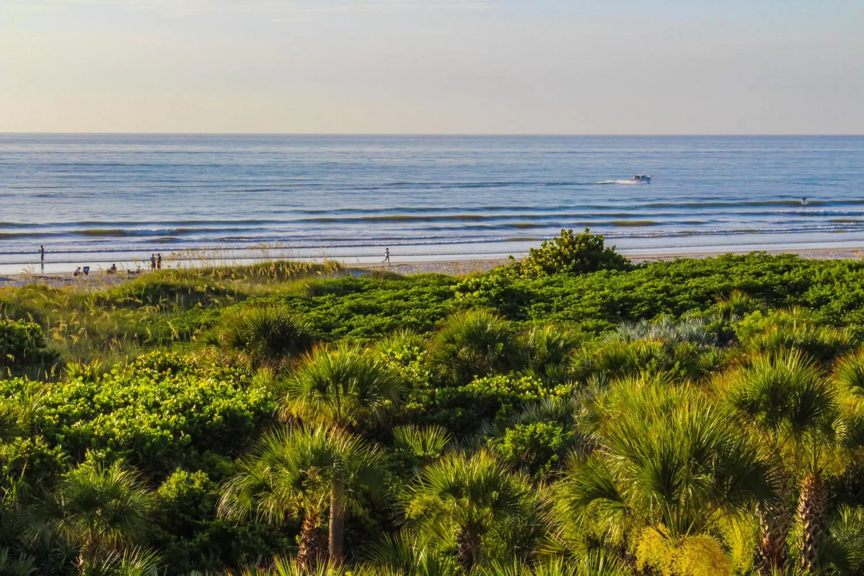 Off site, Natural Landscape in The Resort on Cocoa Beach, a VRI resort