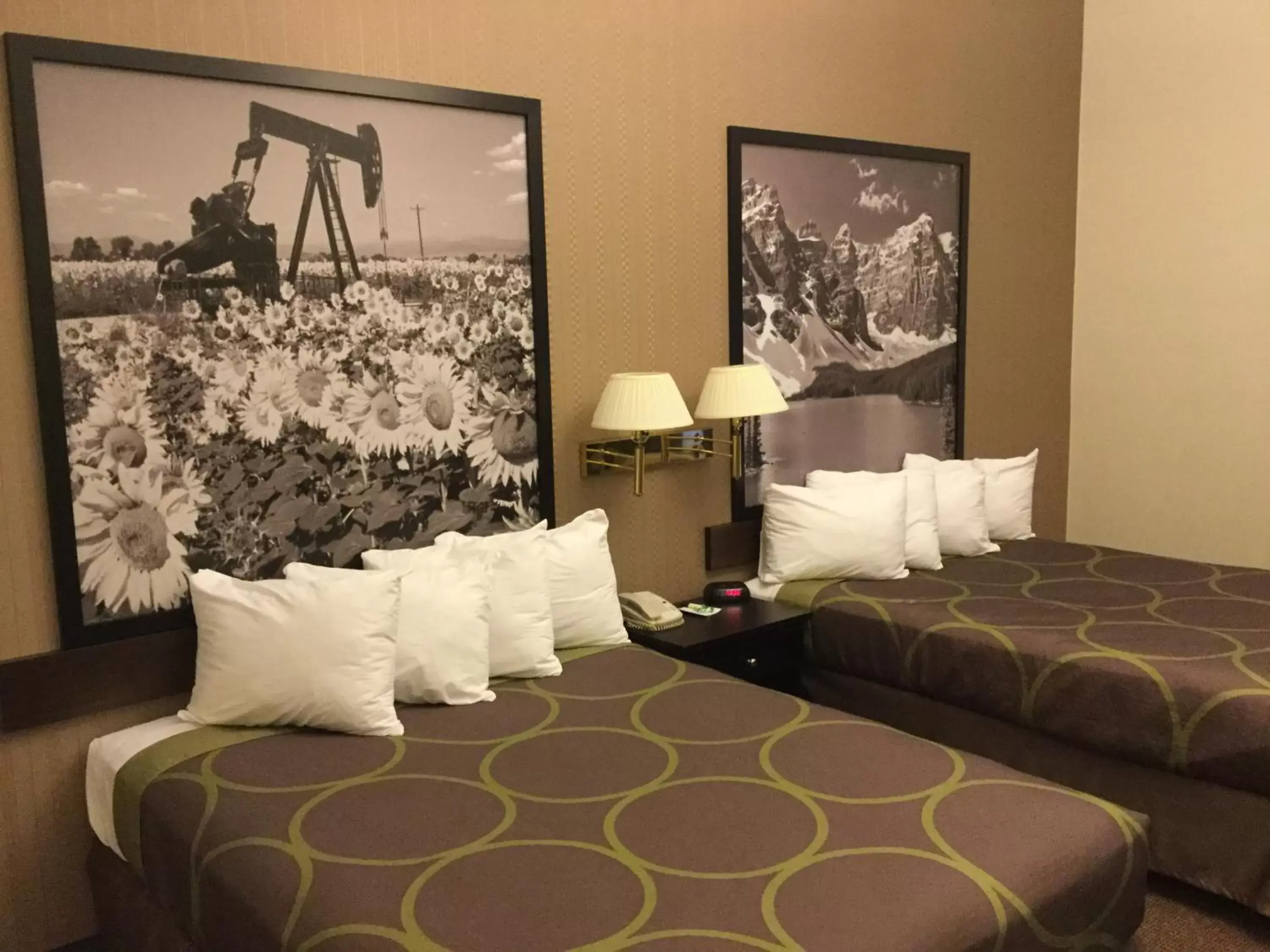 Queen Room with Two Queen Beds - Smoking in Super 8 by Wyndham Edson Queen Room with Two Queen Beds - Smoking in Super 8 by Wyndham Edson