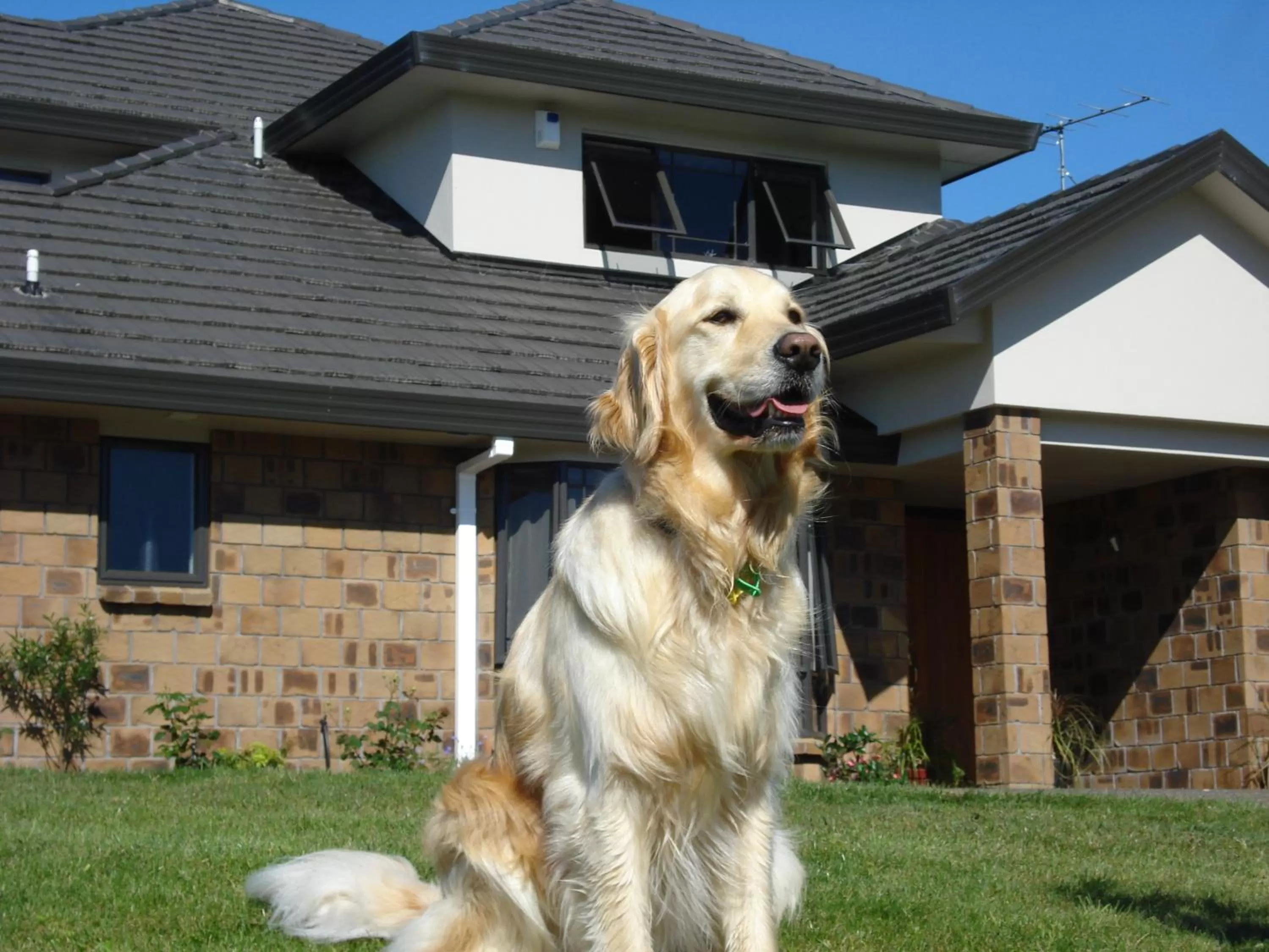 Animals in Ohuka Place Homestay