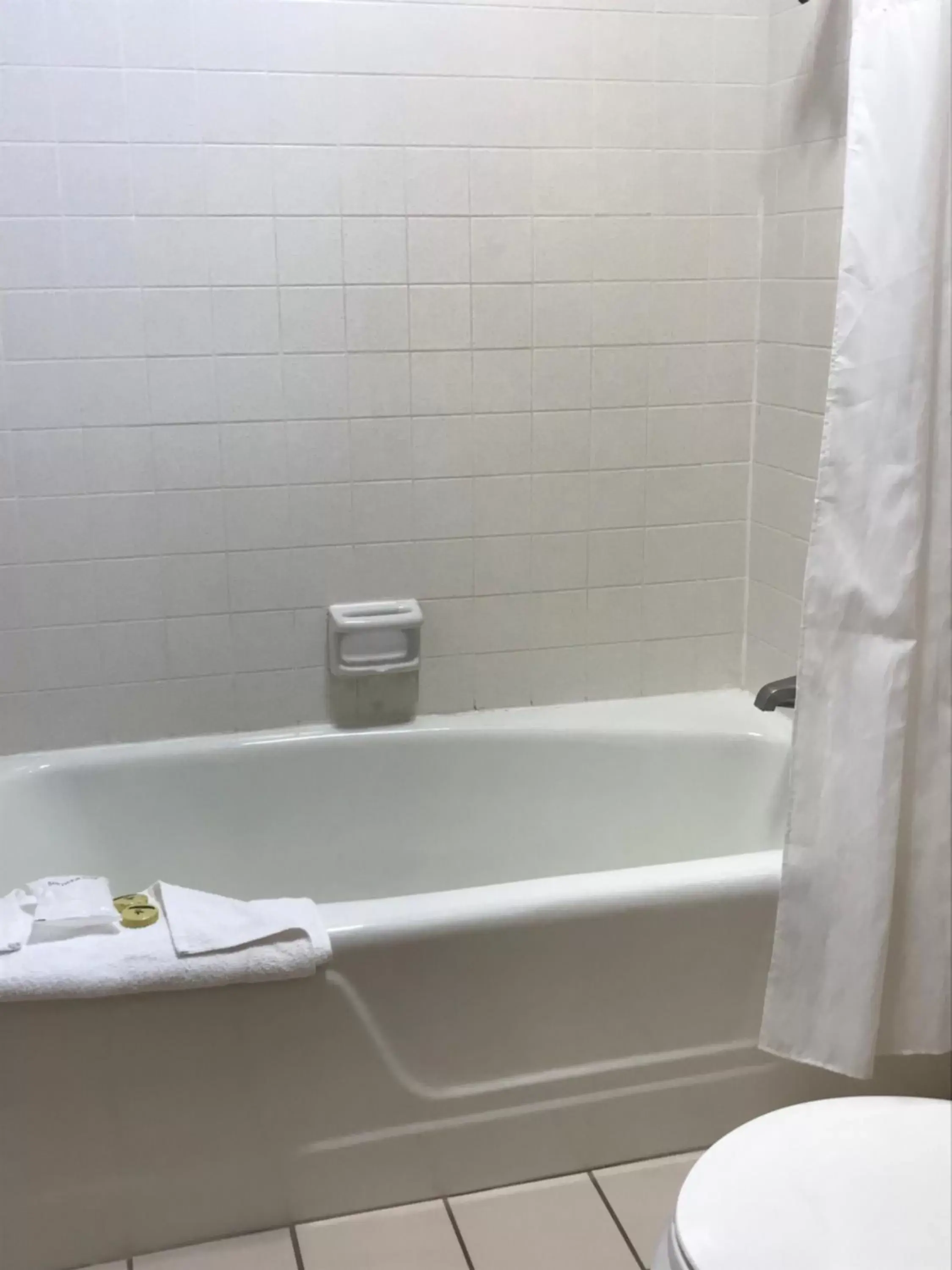 Shower, Bathroom in Olive Tree Inn & Suites