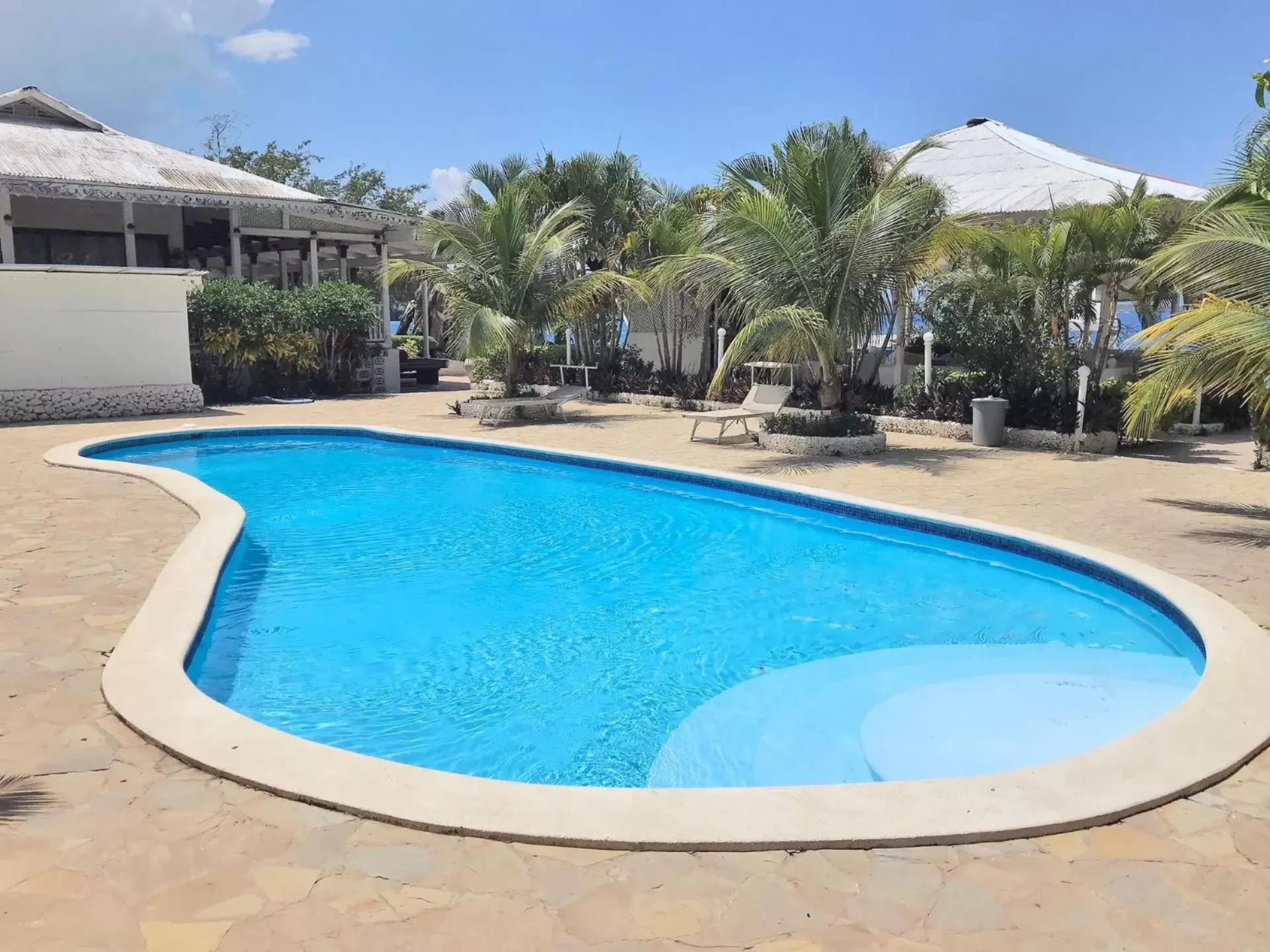 Swimming Pool in Piergiorgio Palace Hotel