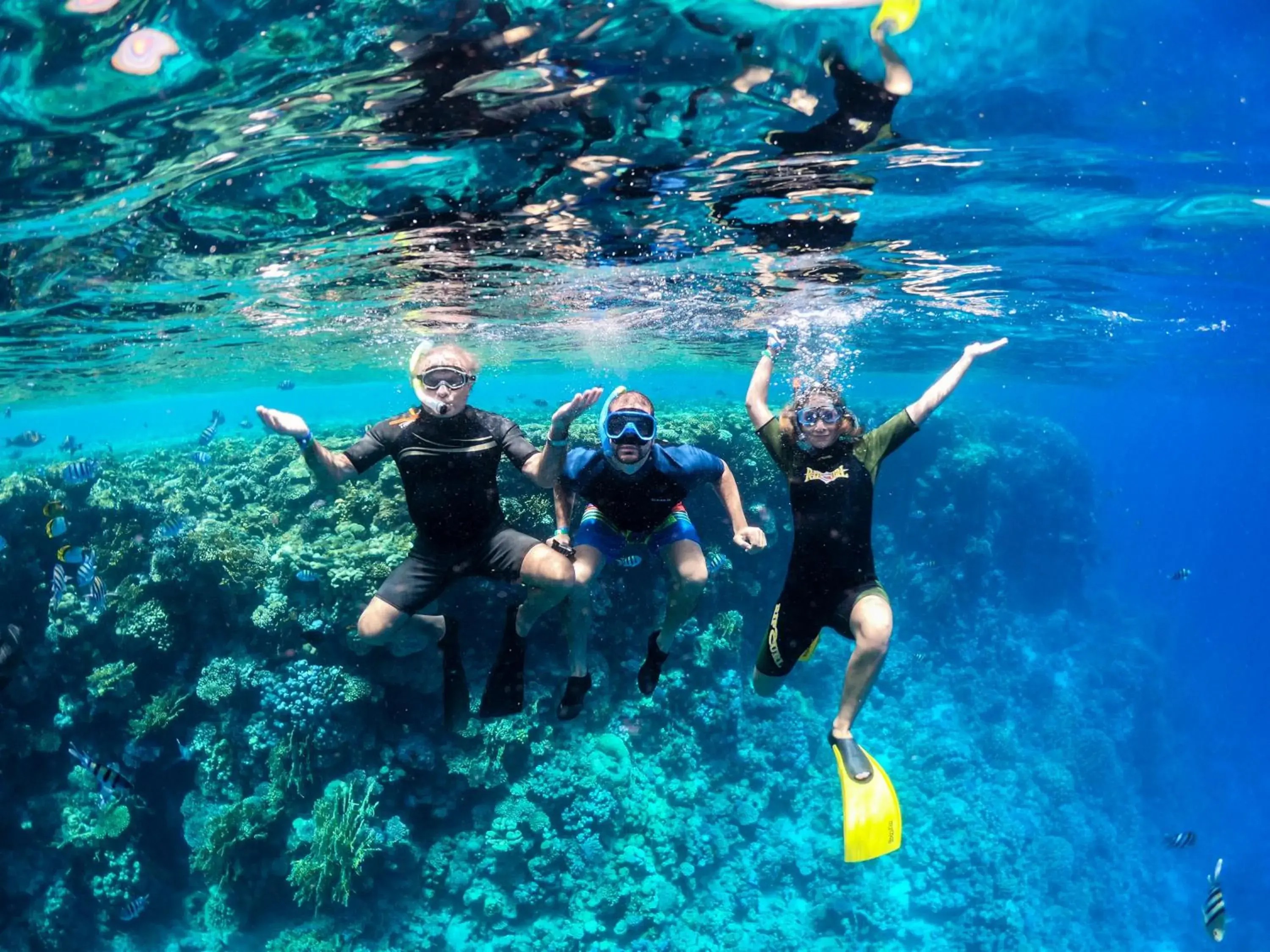 Snorkeling/Diving in Royal Monte Carlo Sharm Villas & Suites