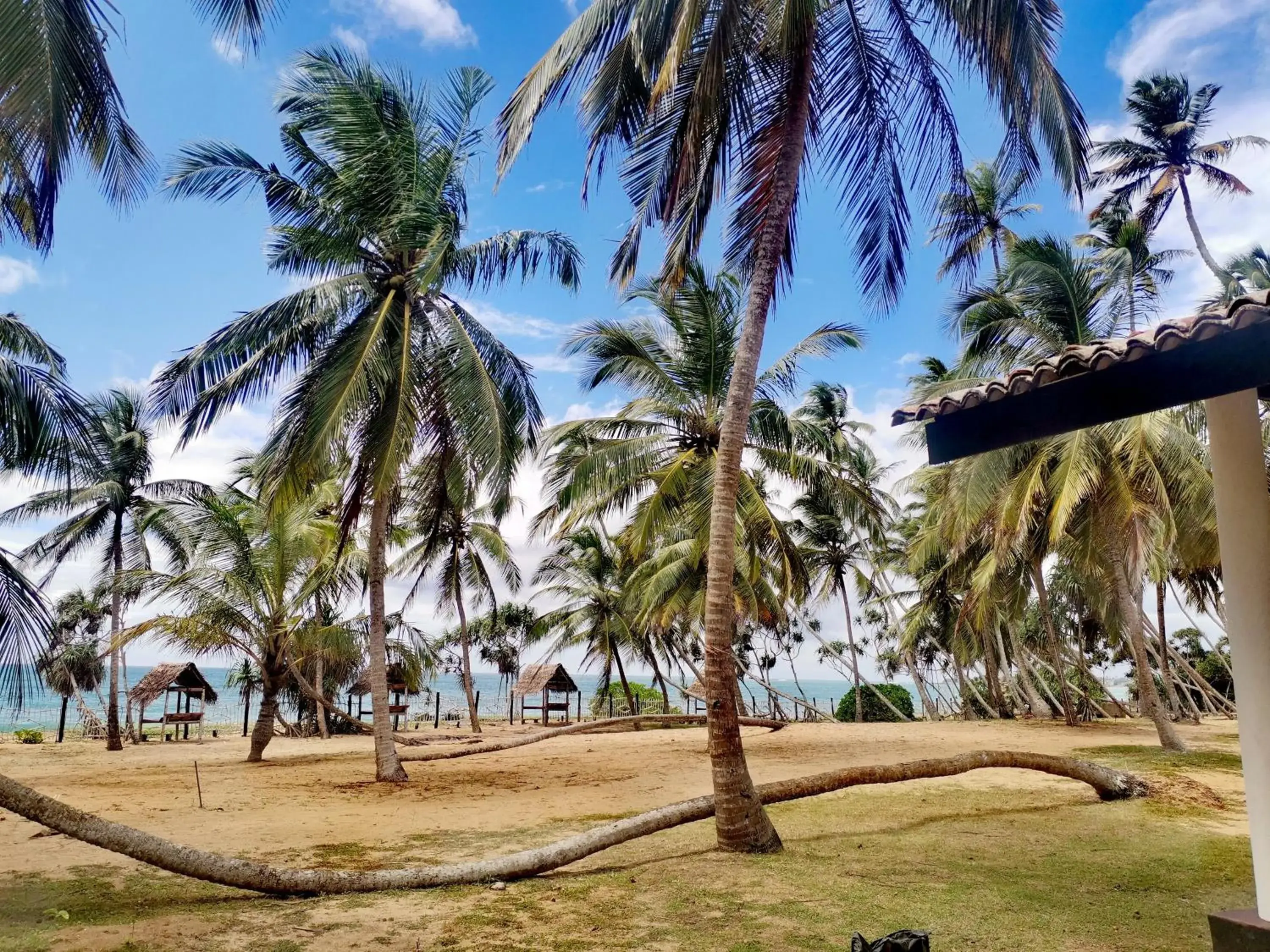 Sea view in Helios Beach Resort