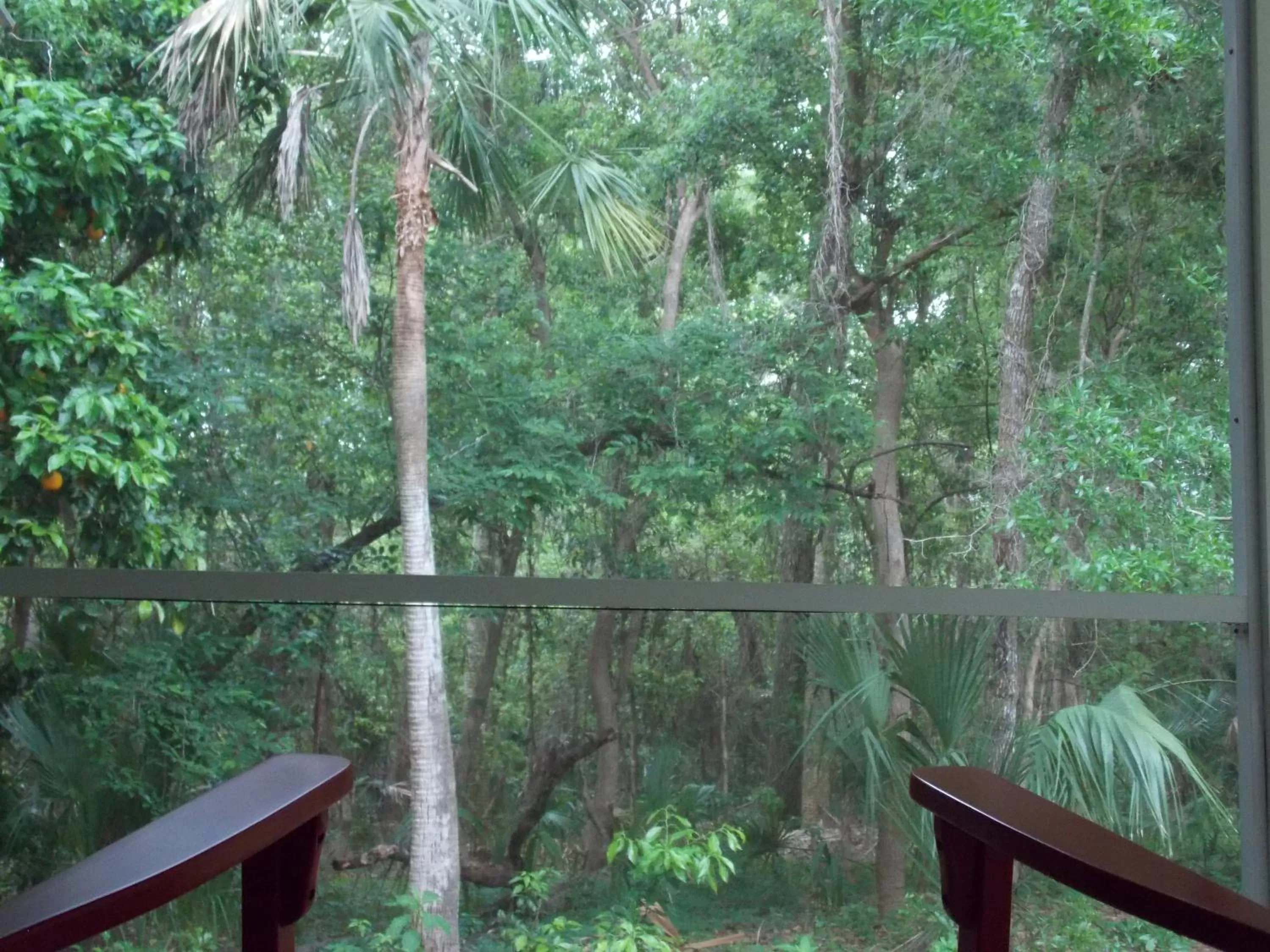 Balcony/Terrace in The Ann Stevens House