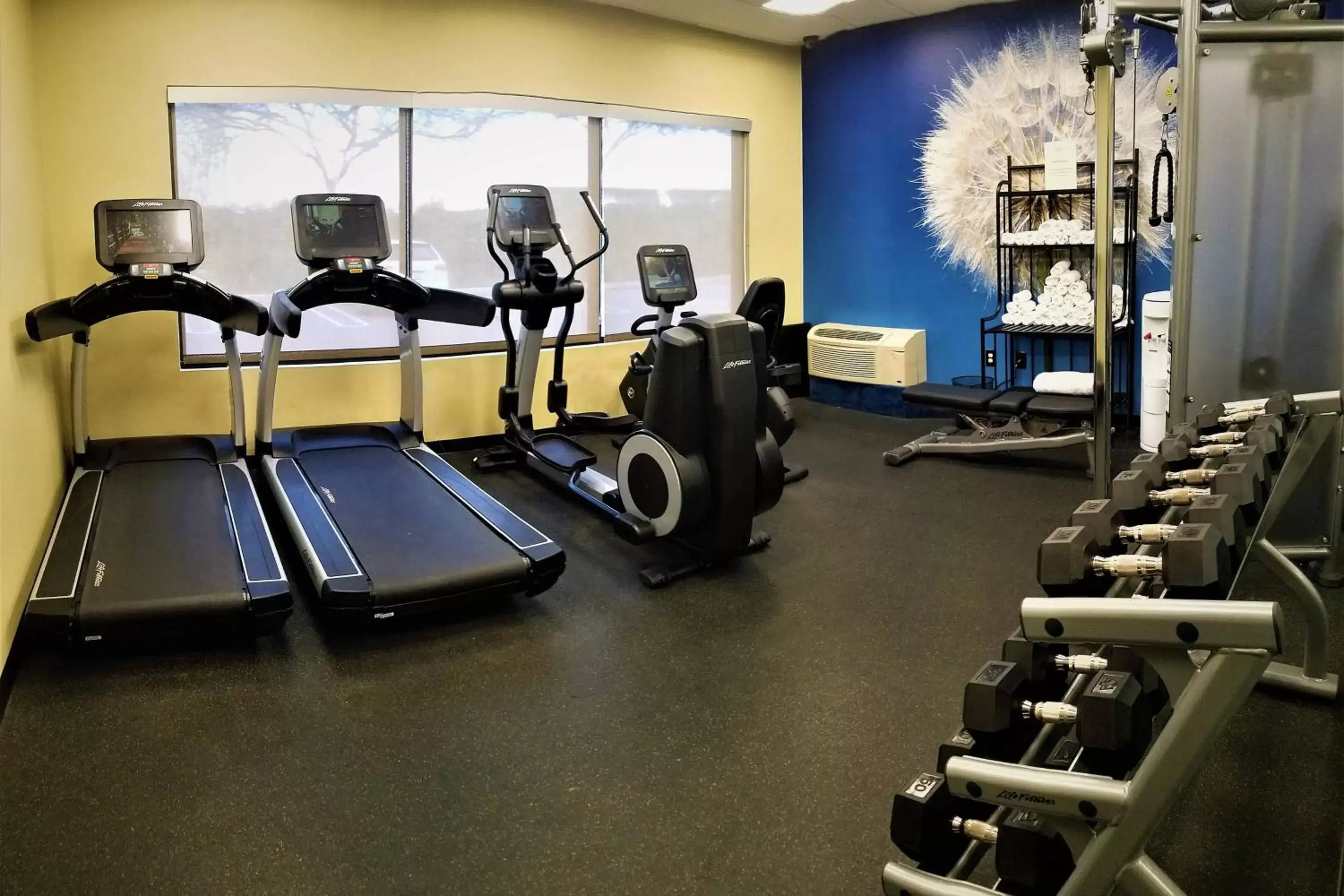 Fitness centre/facilities, Fitness Center/Facilities in SpringHill Suites by Marriott Modesto