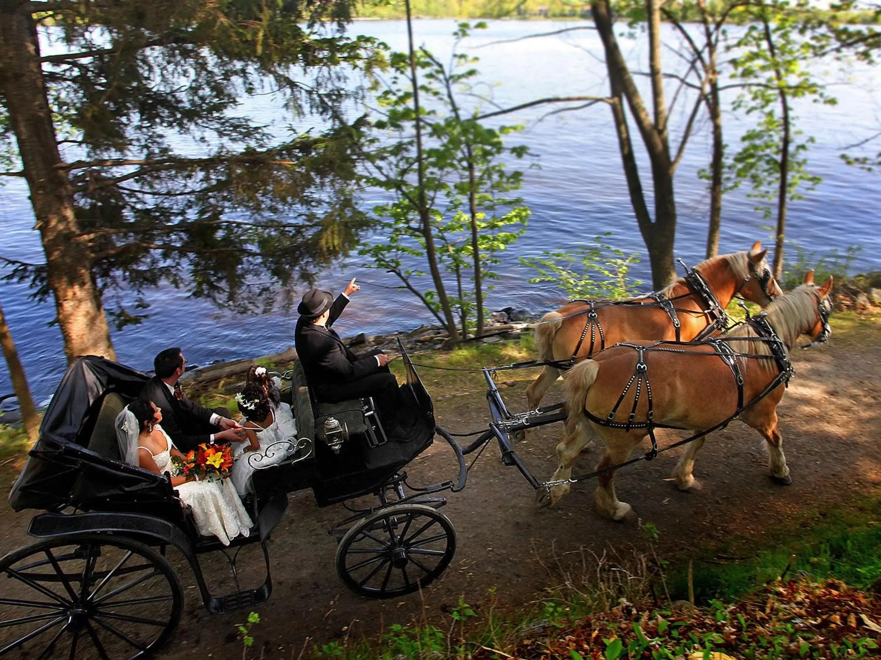 Other in Fairmont Le Chateau Montebello