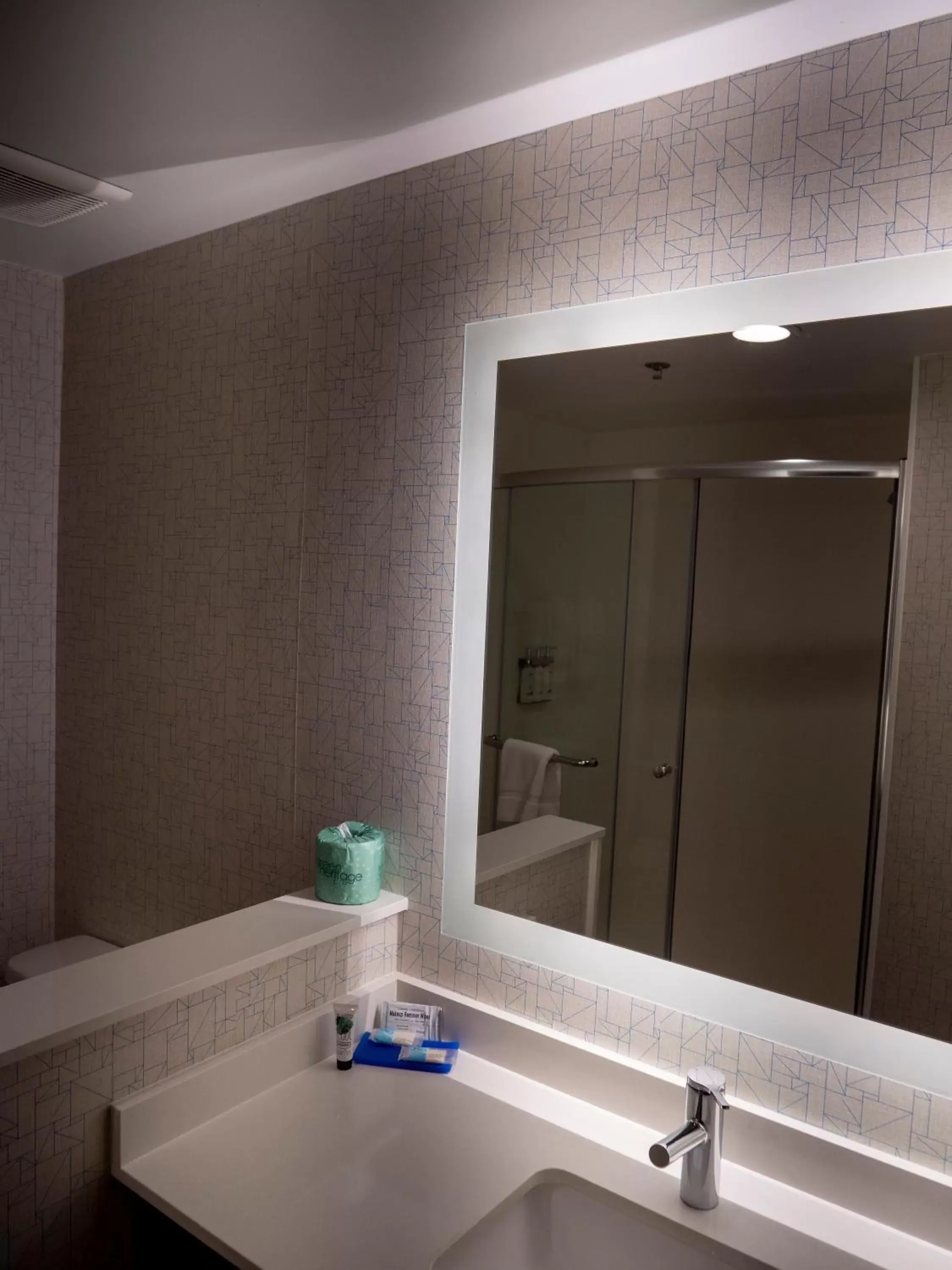 Bathroom in Holiday Inn Express & Suites Greenville Airport, an IHG Hotel