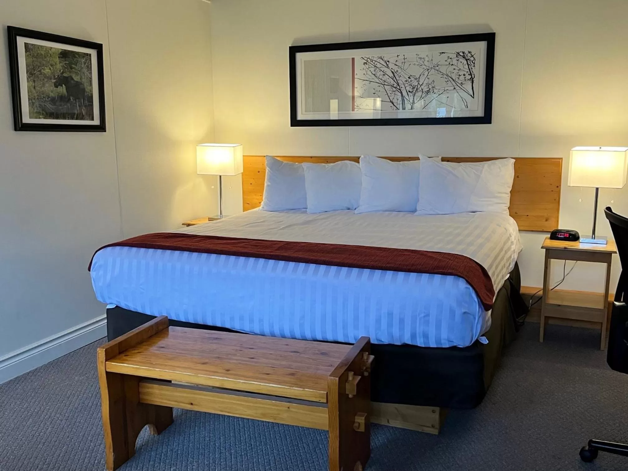 Standard King Room in Lakeview Motel