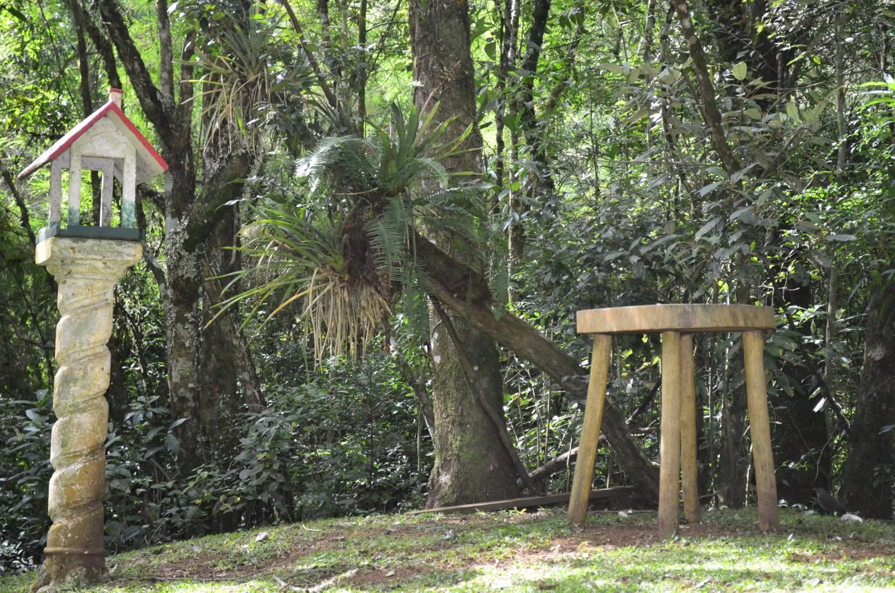 Garden view in Pousada Toca Da Coruja