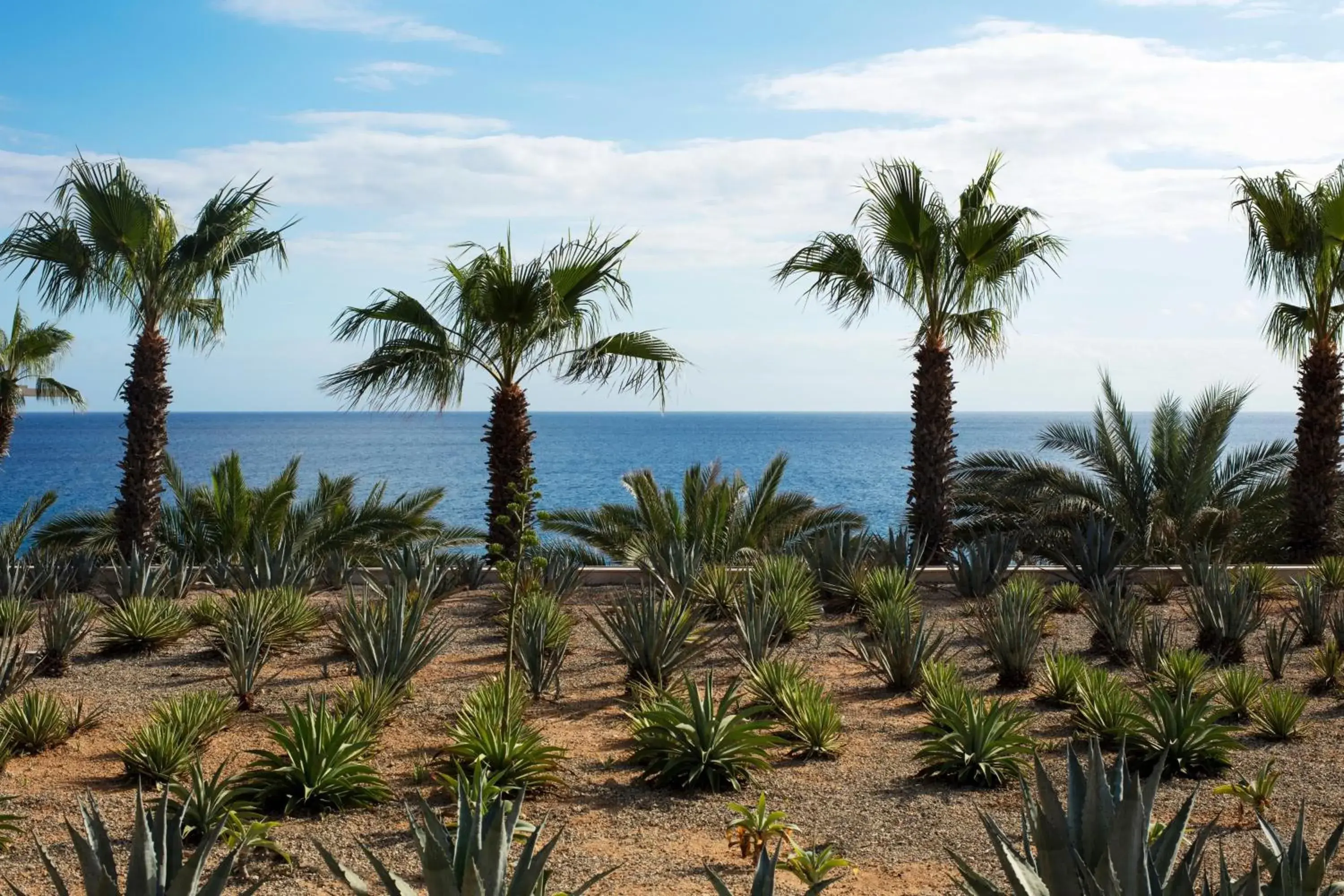 Property building in Casa Maat at JW Marriott Los Cabos Beach Resort & Spa