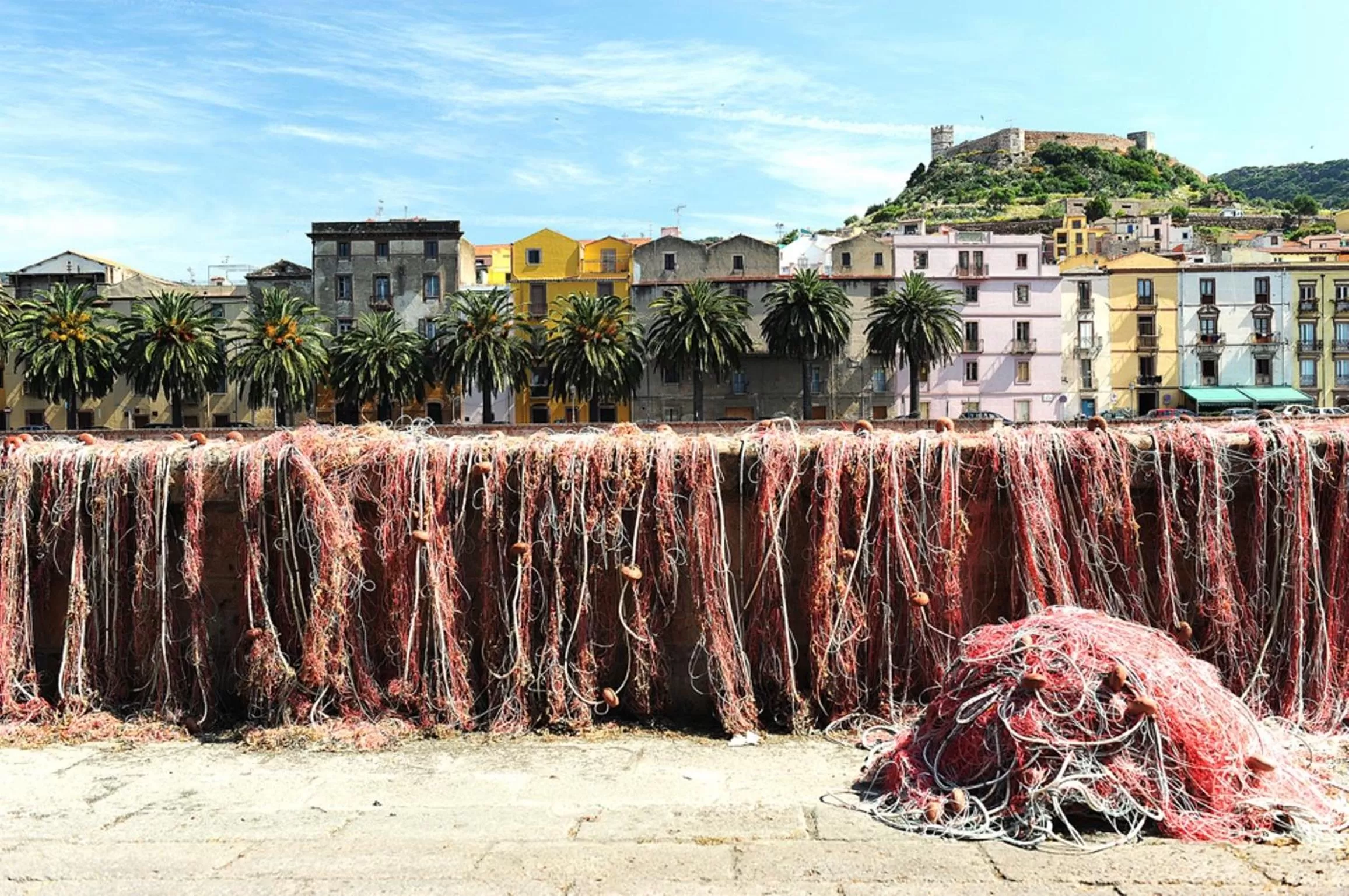 Area and facilities in Hotel Baja Romantica