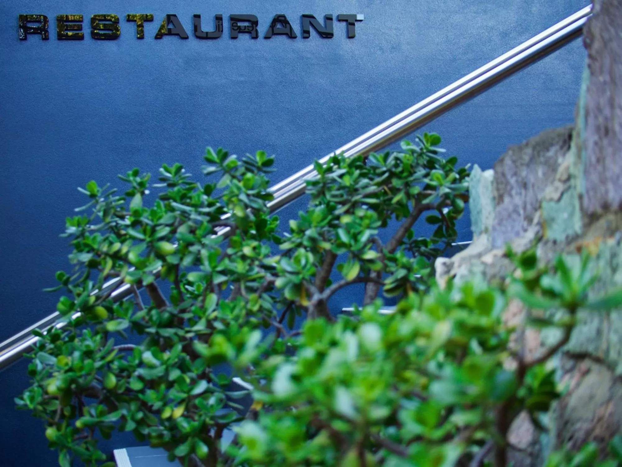 Restaurant/places to eat in Soho Brisbane